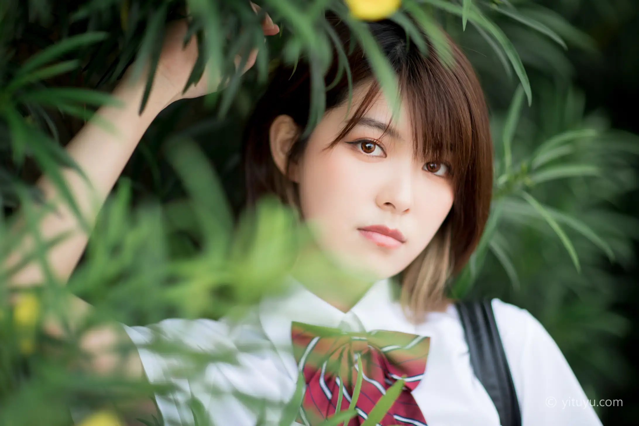 [艺图语] 2021.05.17 Vol.056-022
