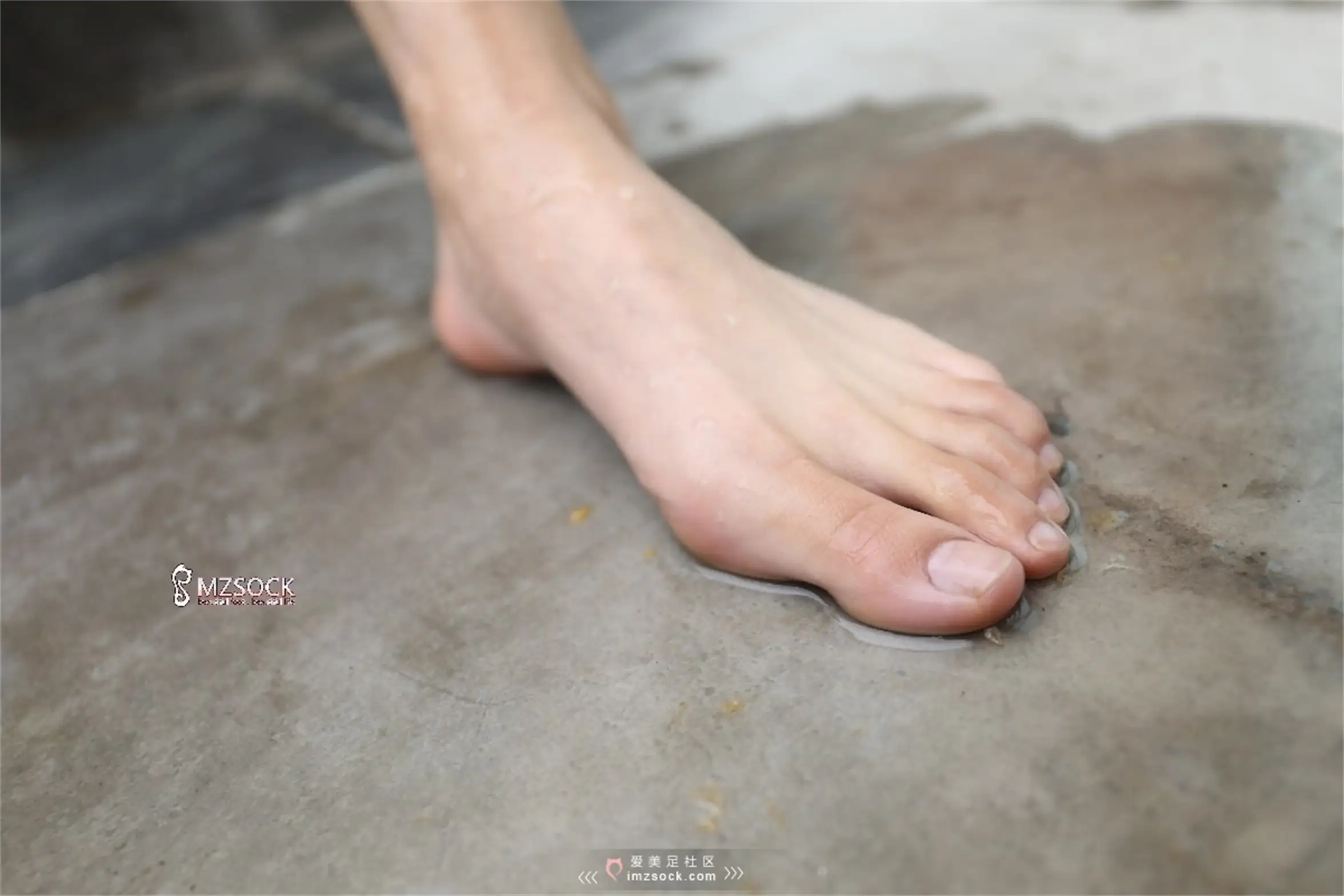 [MZSOCK]爱美足 NO.071-043