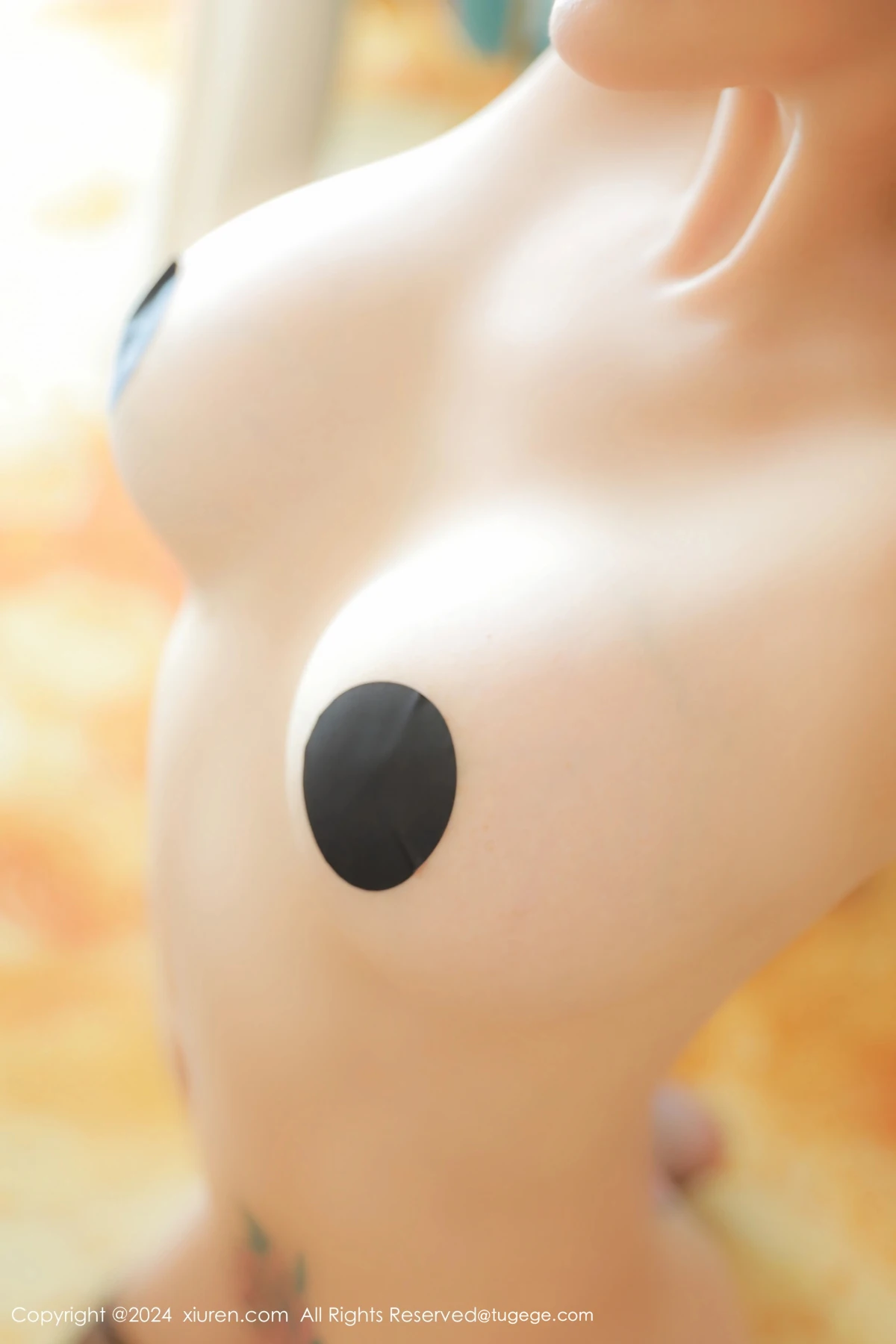 [秀人网] 2024.12.04 No.9547 田冰冰、秀人旗下#[54P]-051
