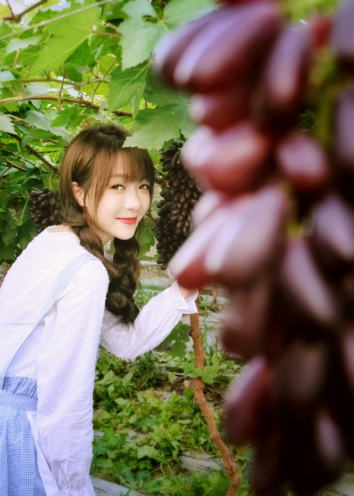 [艺图语]2023.02.04 Vol.2969 葡萄园丰收的喜悦#鸭鸭#[23P]-024