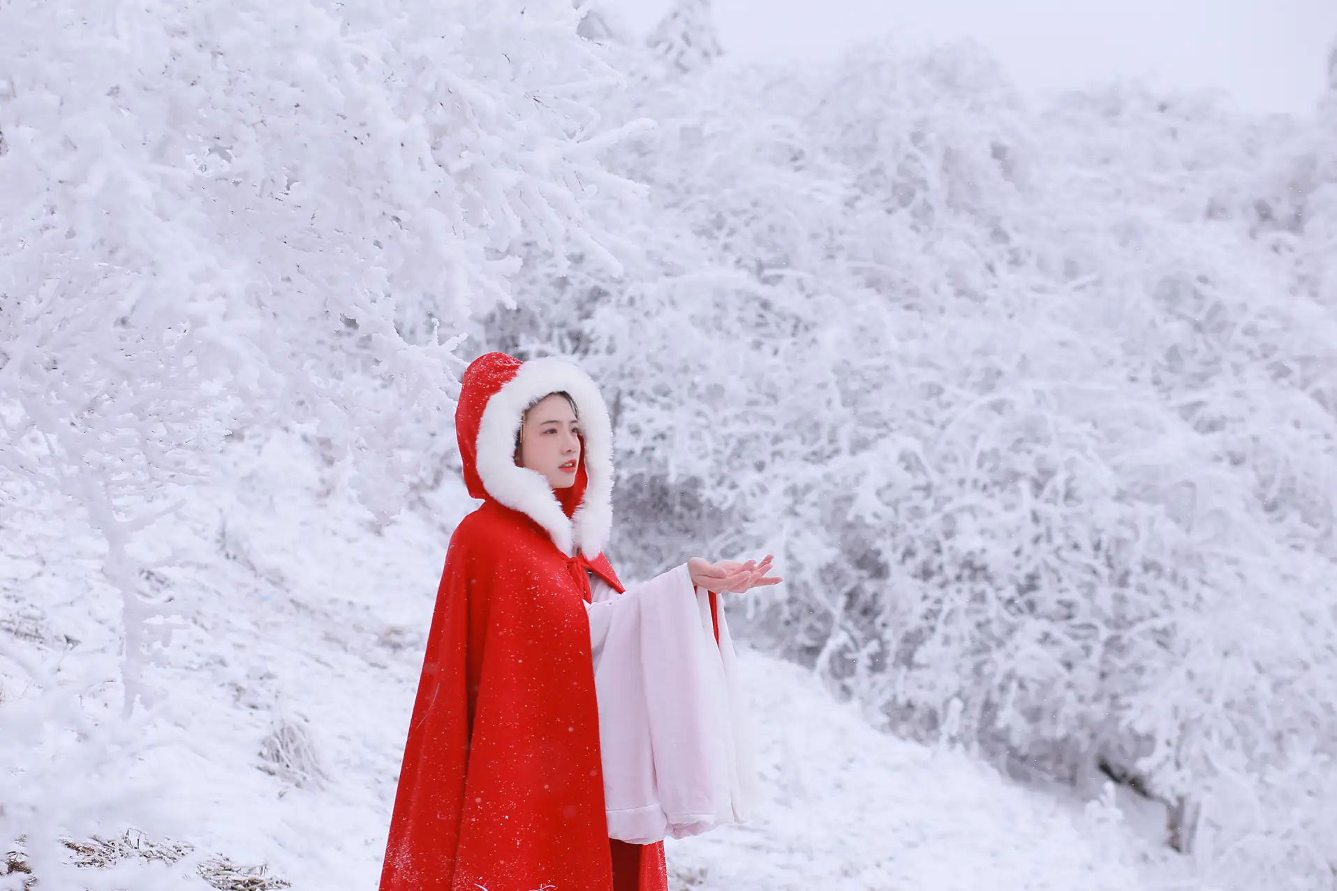 [艺图语] 2021.12.25 Vol.531-011