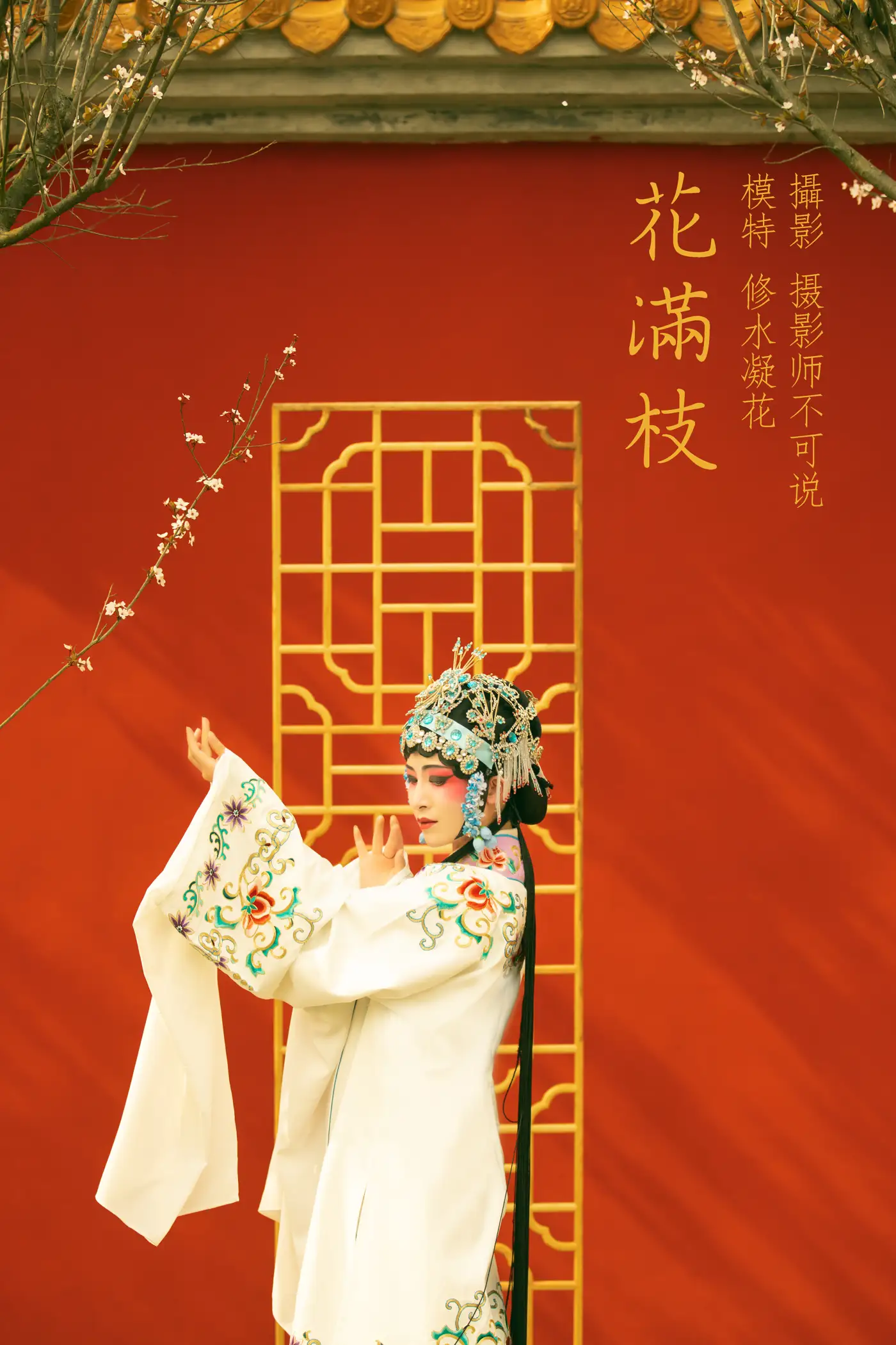 [艺图语] 2021.12.18 Vol.499 – 花满枝 修水凝花[23P]-PicJJ