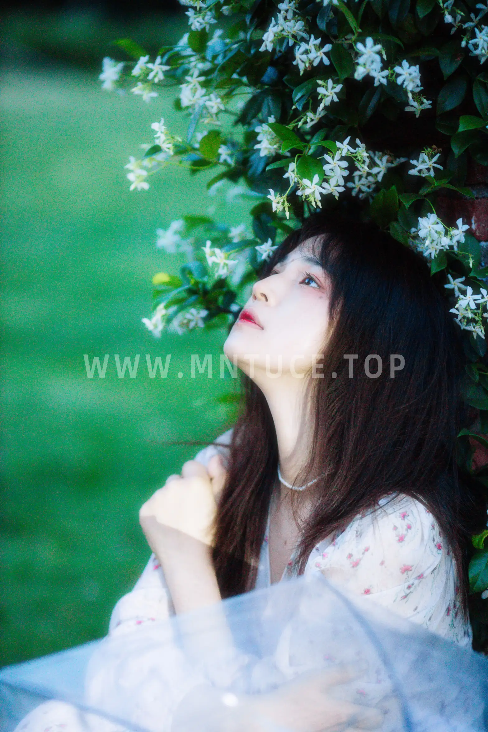 [艺图语] 2022.06.13 Vol.1169-014