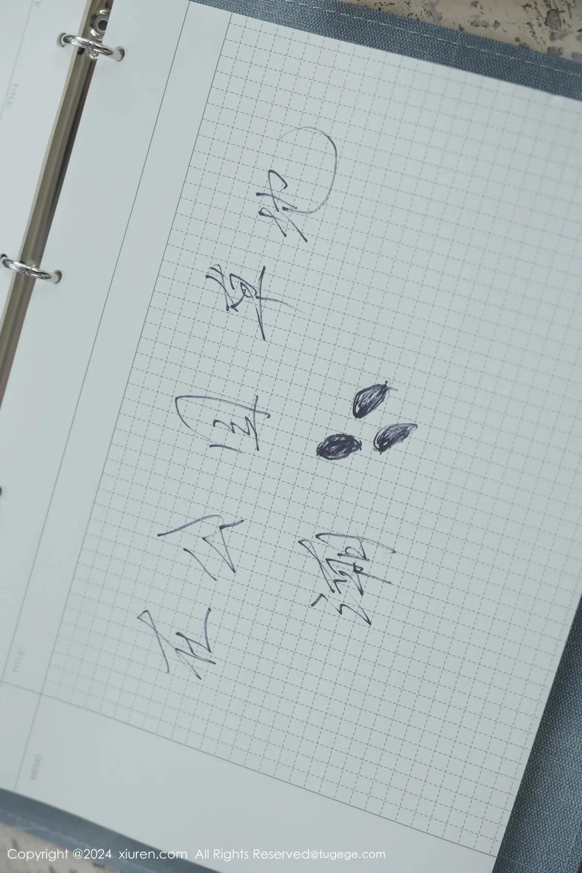 [秀人网] 2024.04.02 No.8335-057