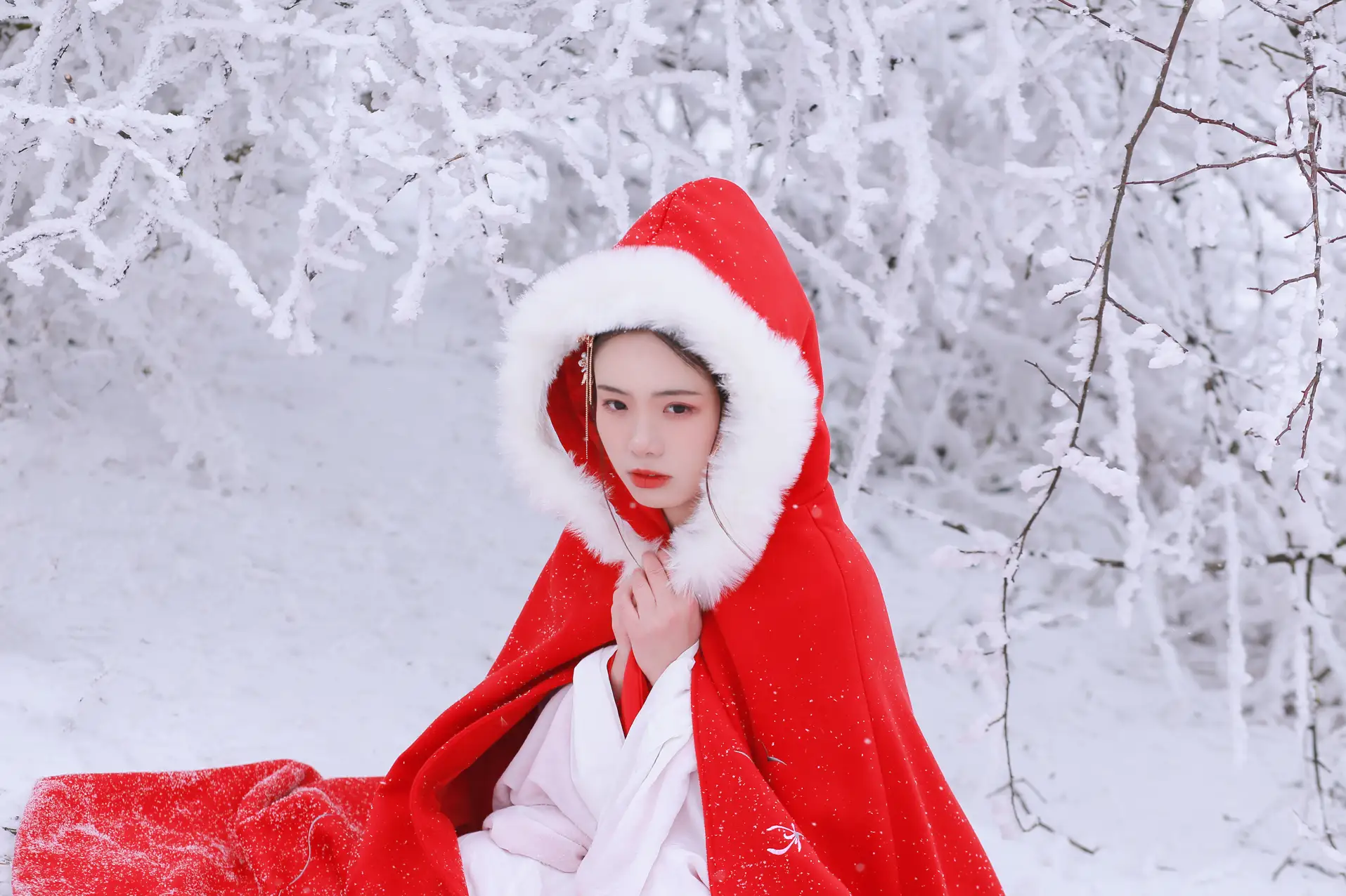 [艺图语] 2021.12.25 Vol.531-032
