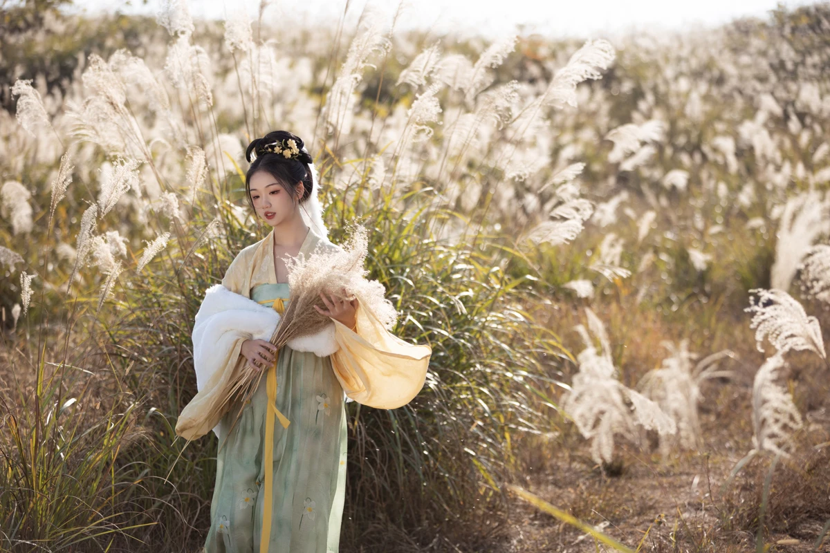 [艺图语]2023.02.09 Vol.3004 芦苇晚风鸣#晚江亭#[25P]-006