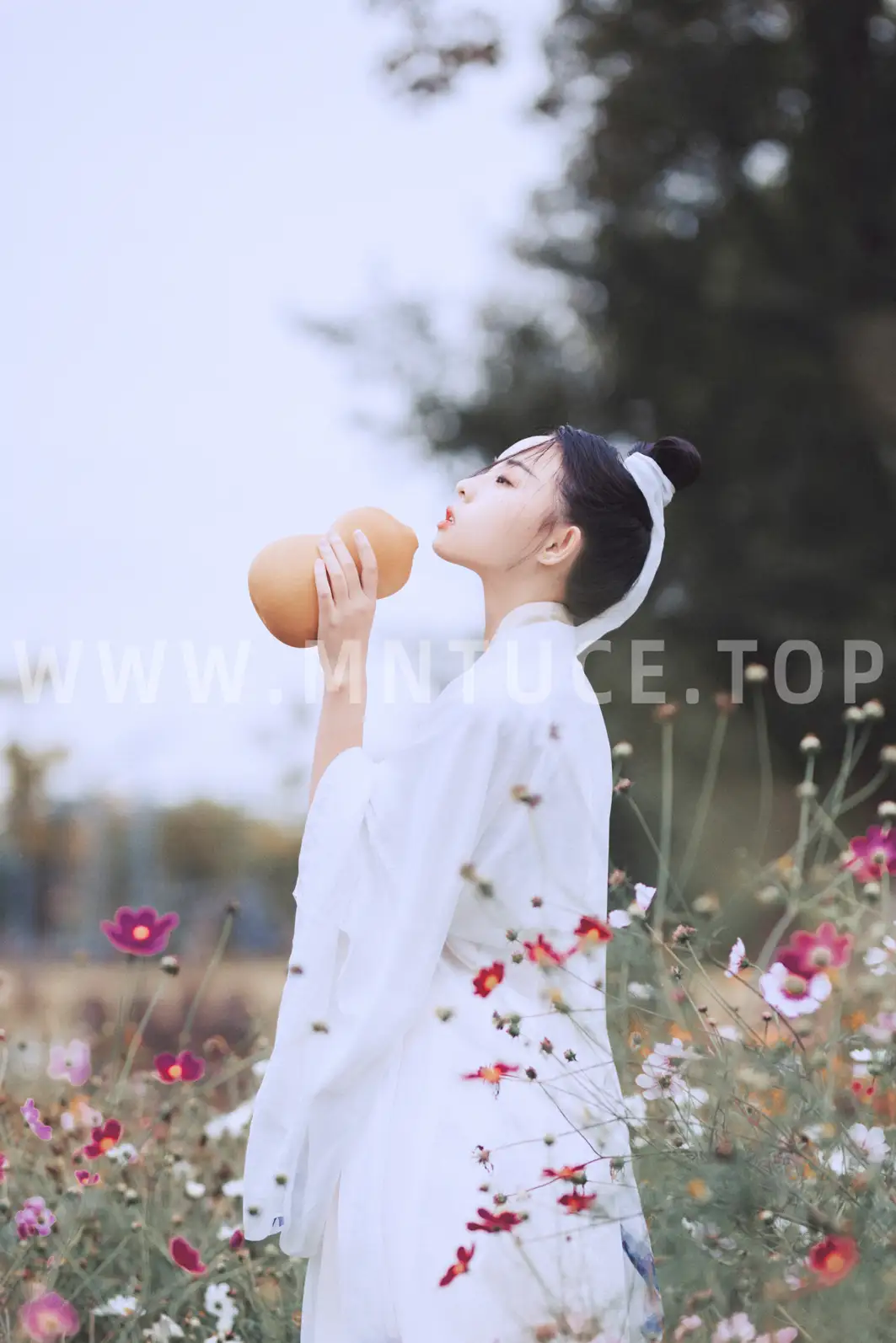 [艺图语] 2021.09.04 Vol.238-018