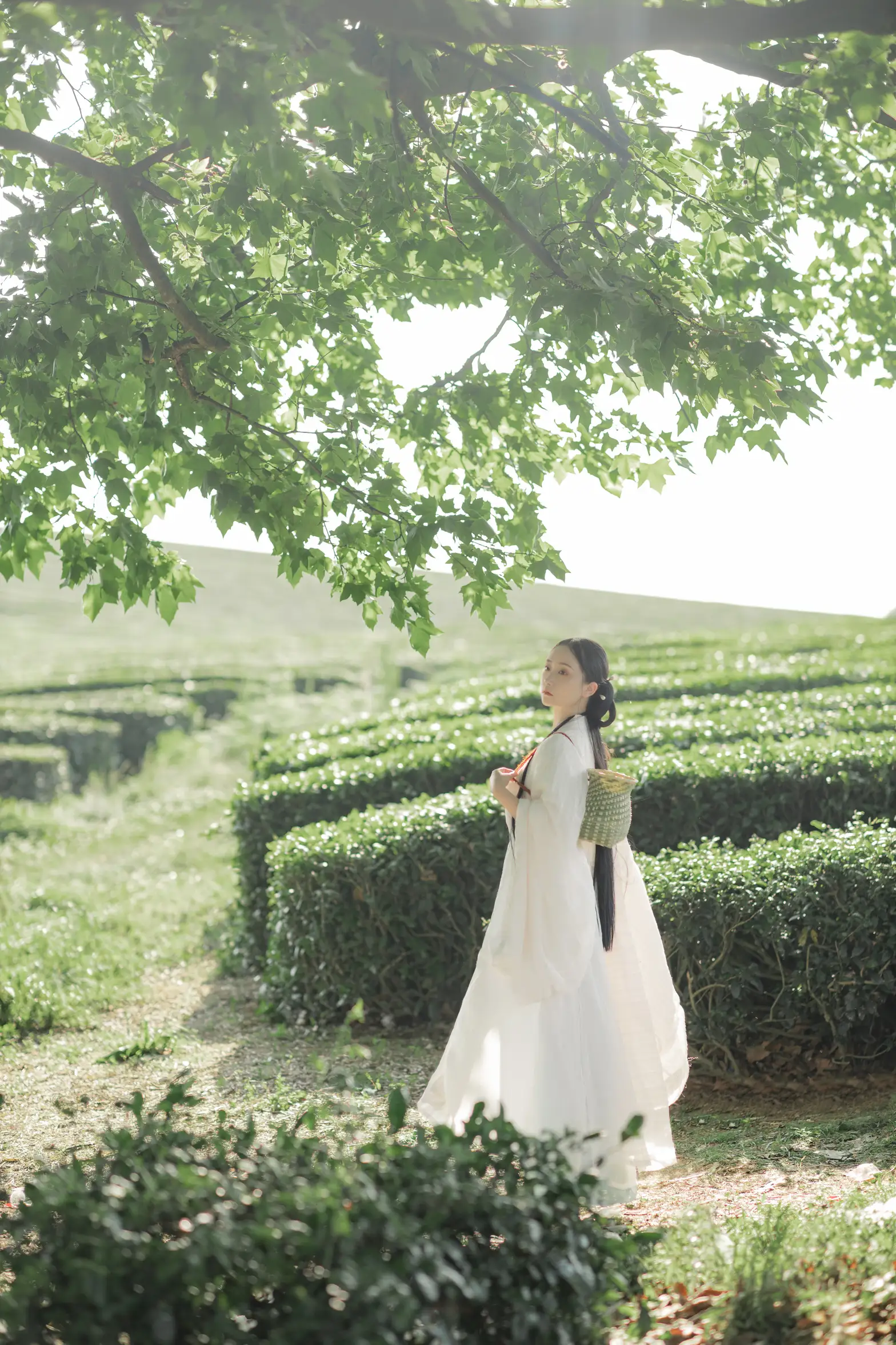 [艺图语] 2022.11.11 Vol.2055-012
