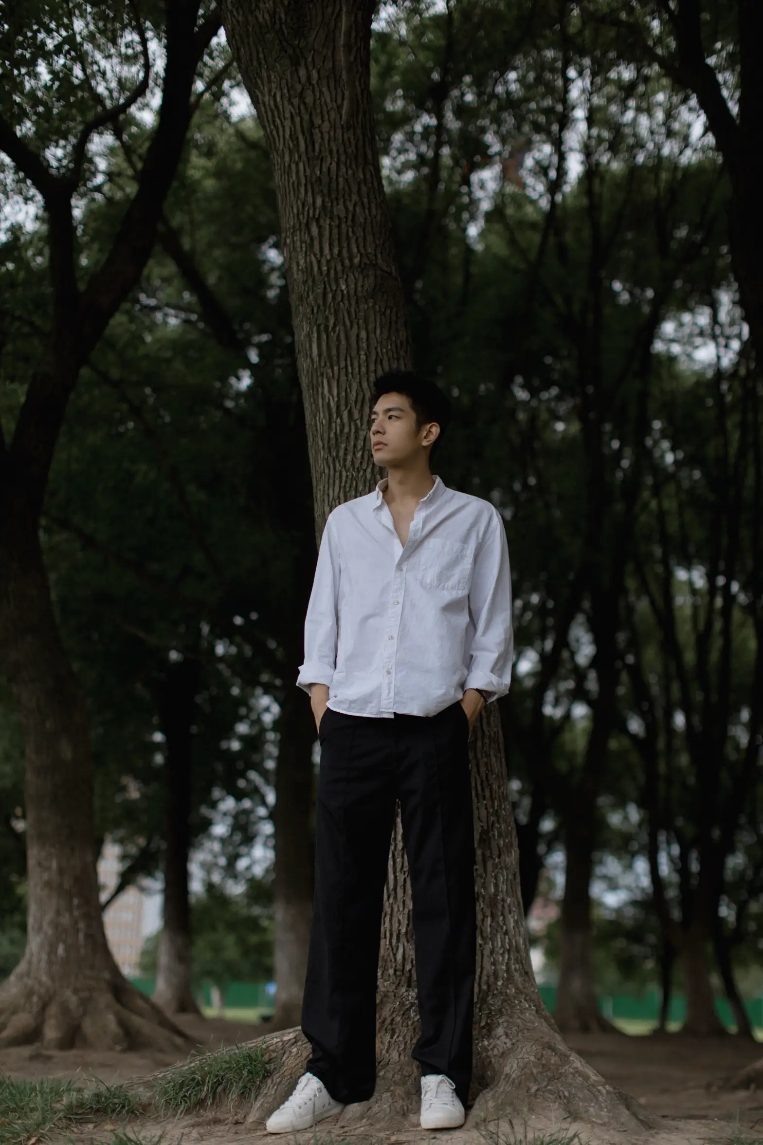 [艺图语] 2021.09.04 Vol.243-019