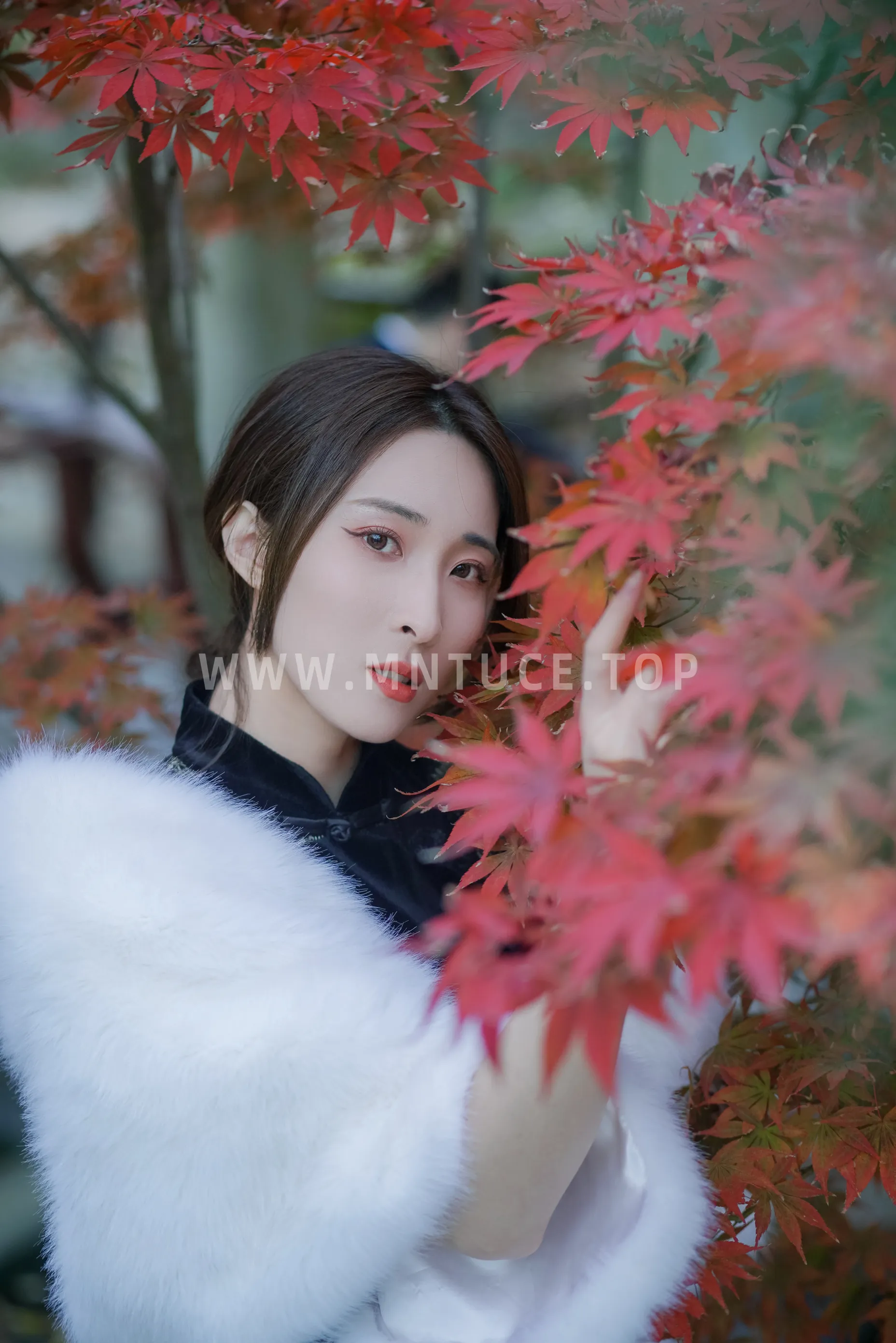 [艺图语]2022.12.05 Vol.2603-017