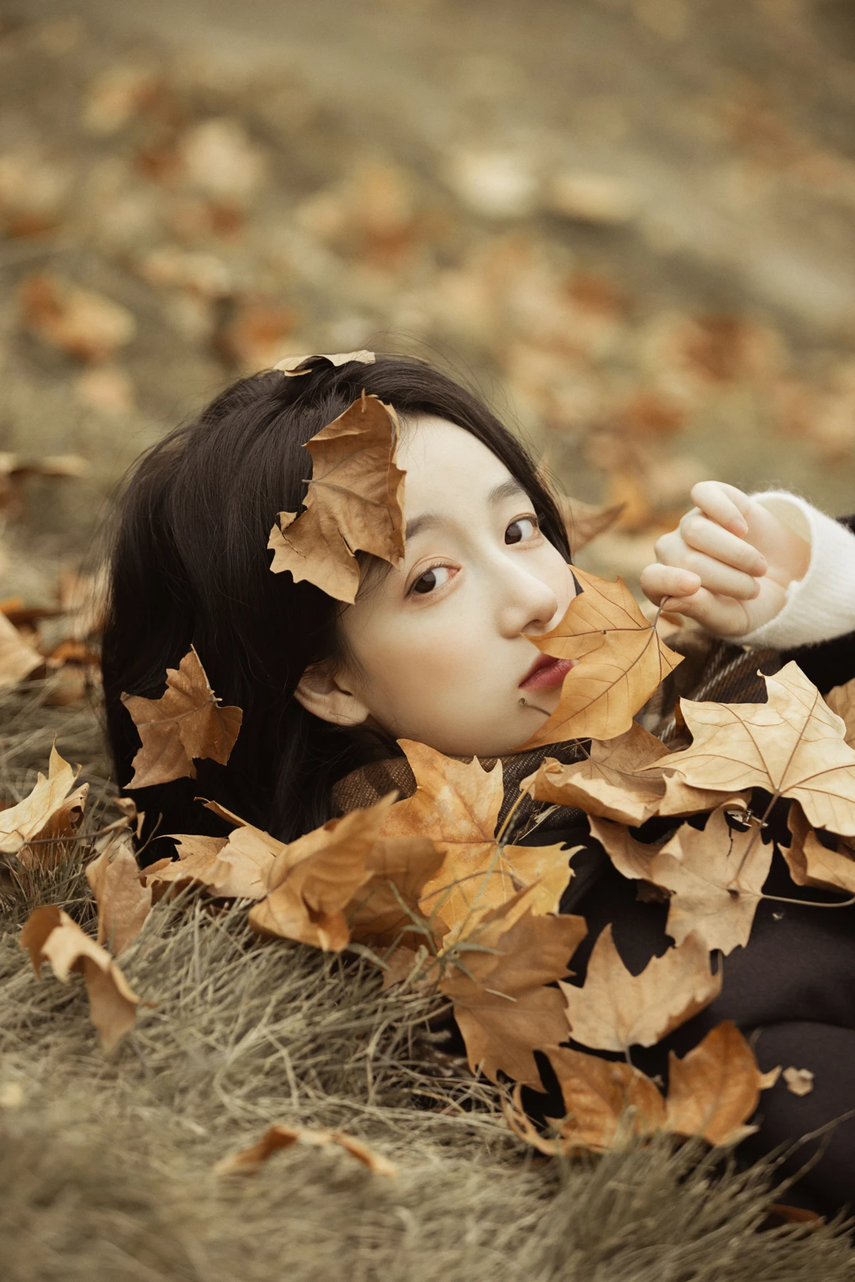 [艺图语]2023.01.16 Vol.2925 漫步梧桐林#肖绿叶#[25P]-012