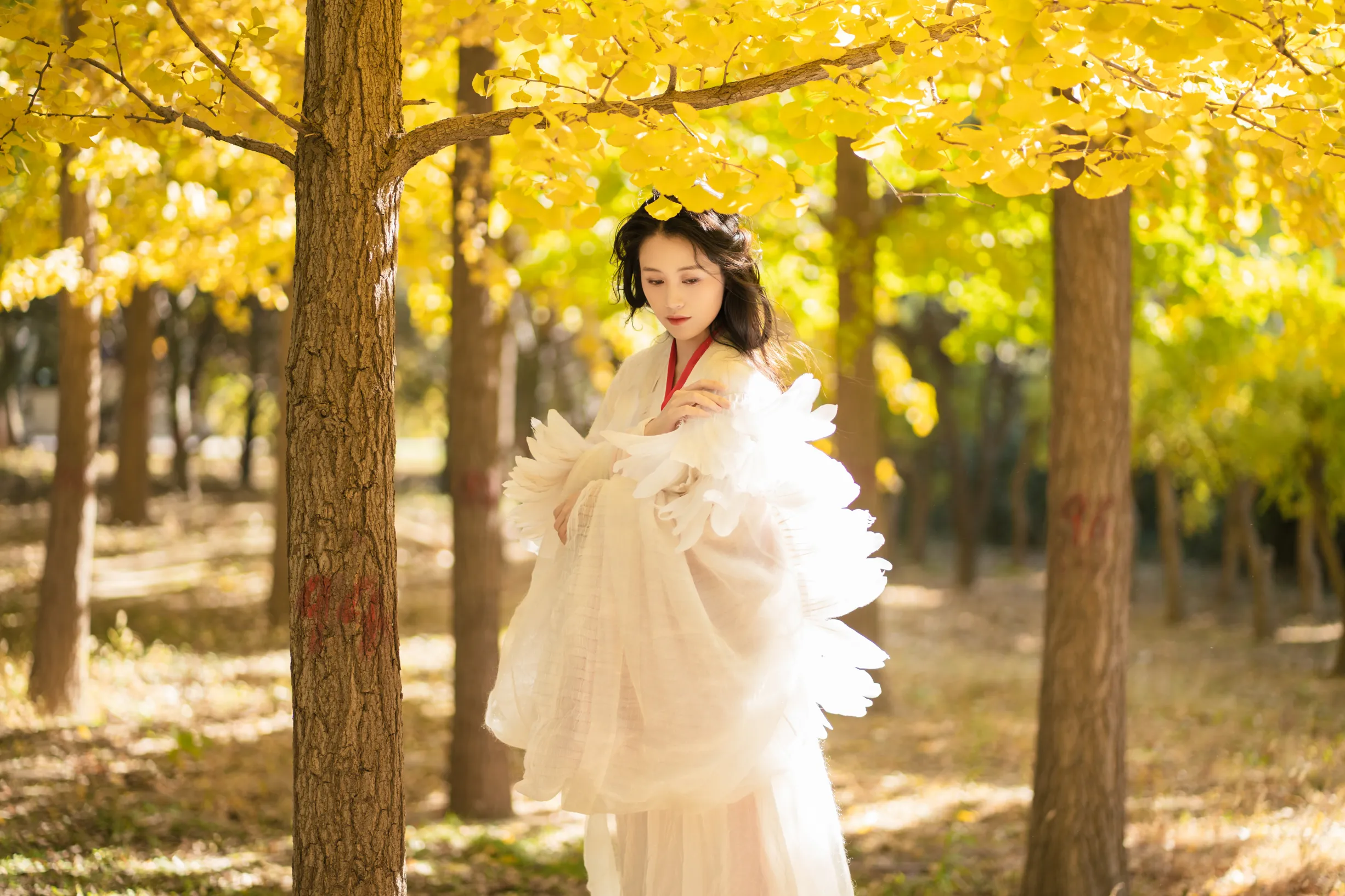 [艺图语]2022.11.30 Vol.2568-017