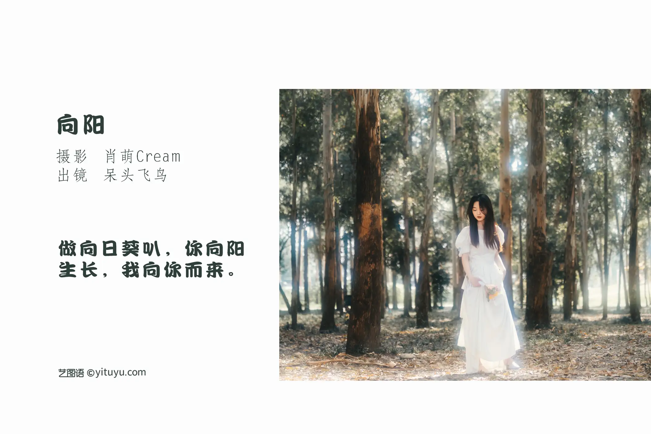 [艺图语] 2022.07.26 Vol.1544-002