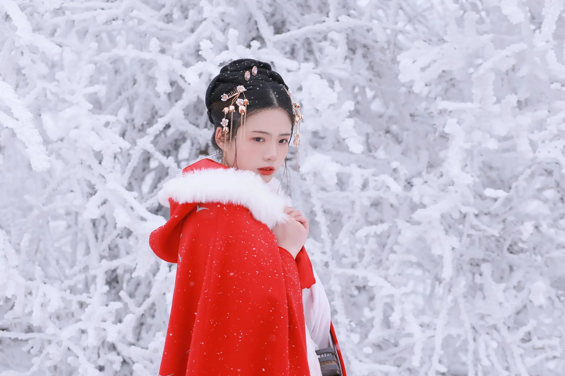 [艺图语] 2021.12.25 Vol.531-033