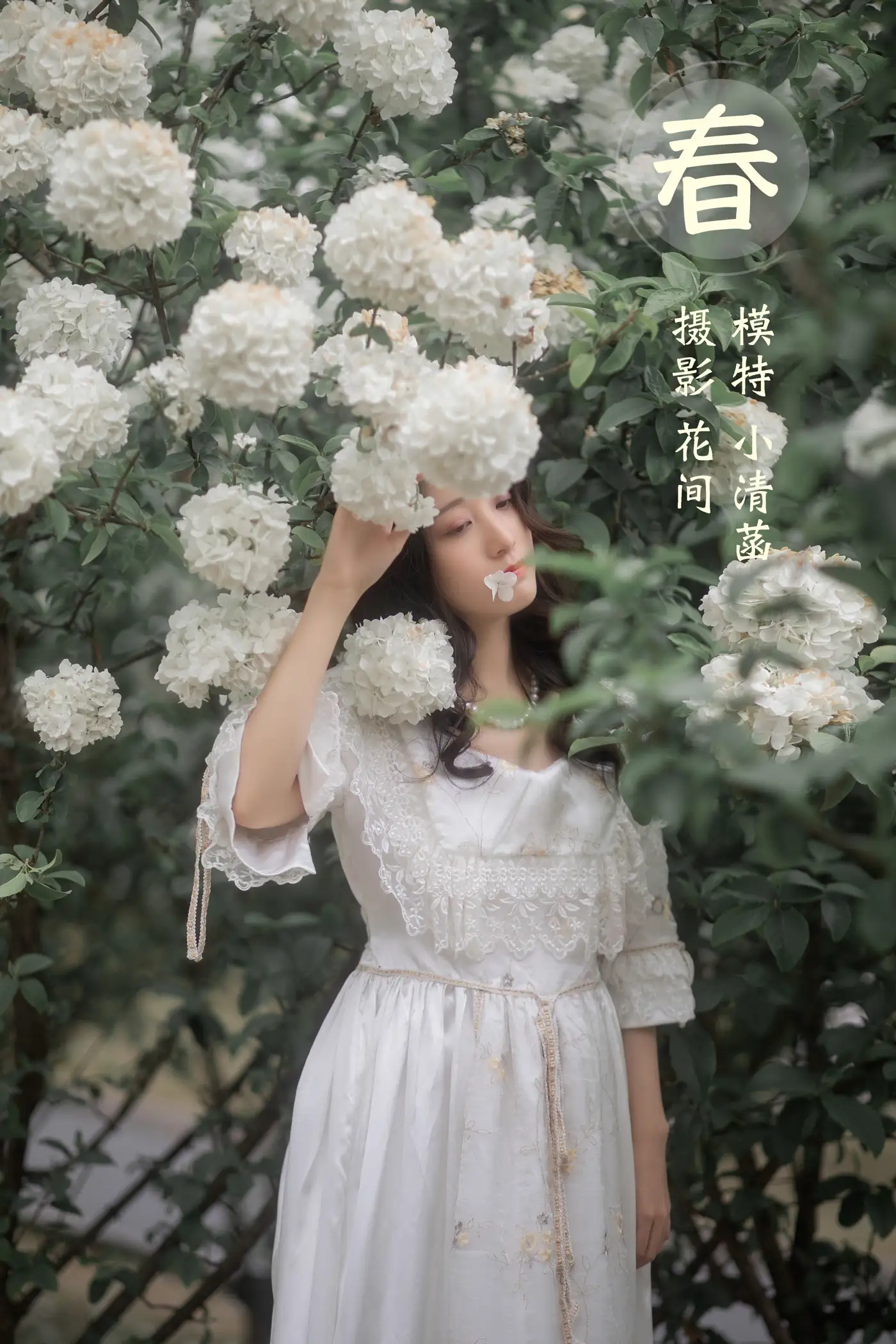 [艺图语] 2021.12.22 Vol.512 – 春 小清菡[21P]-PicJJ