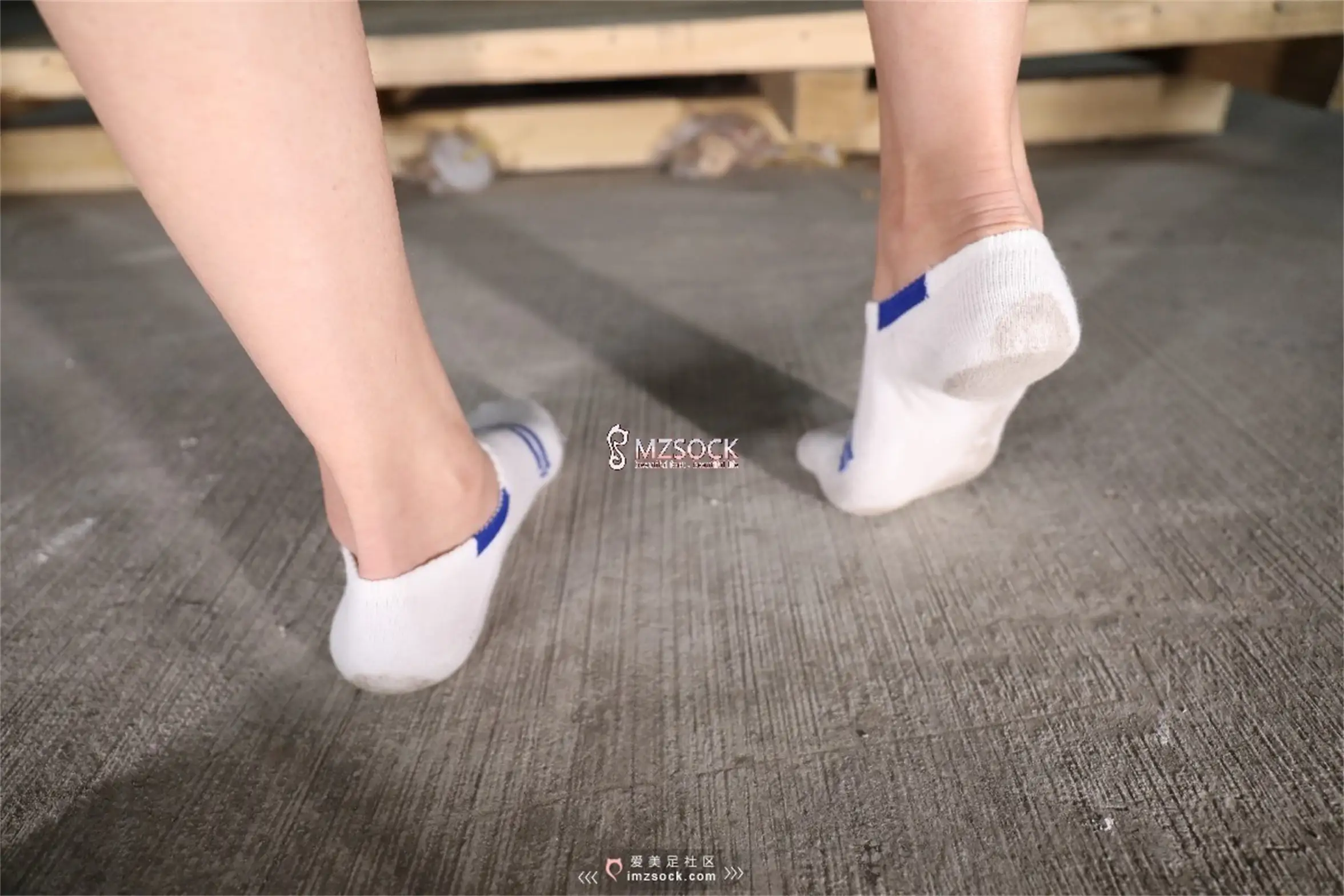 [MZSOCK]爱美足 NO.066-031