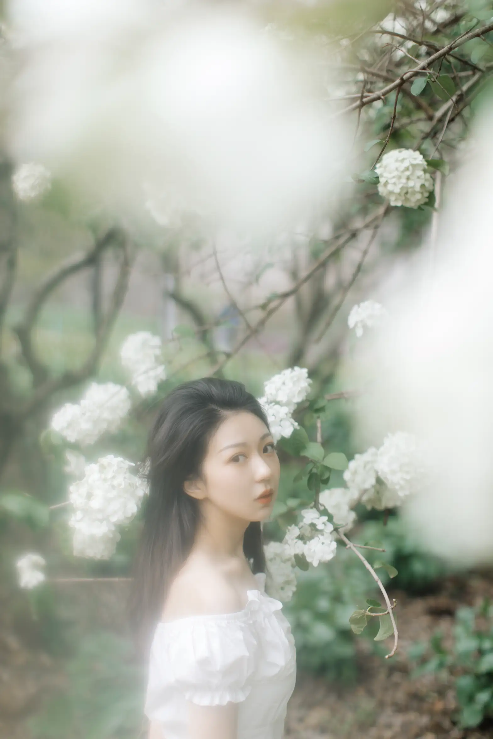 [艺图语] 2021.12.31 Vol.565-003