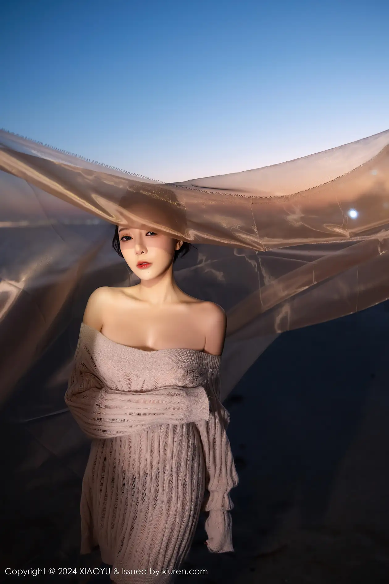 [语画界] 2024.02.06 VOL.1200 王馨瑶yanni#[90P]-011