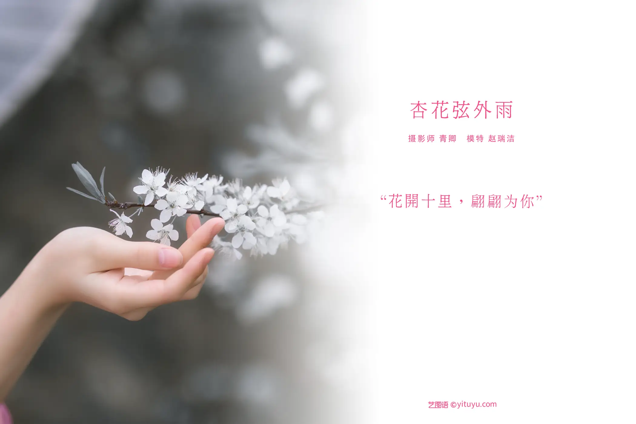 [艺图语] 2021.08.28 Vol.191-002