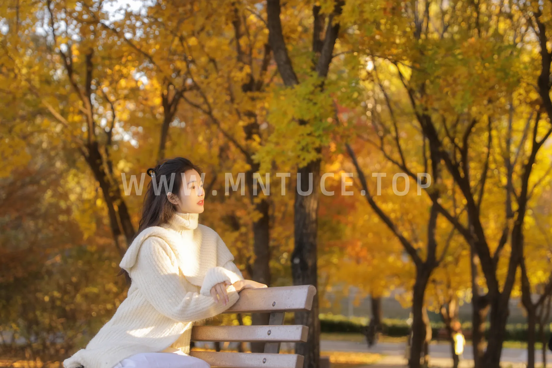 [艺图语]2022.12.03 Vol.2589-017