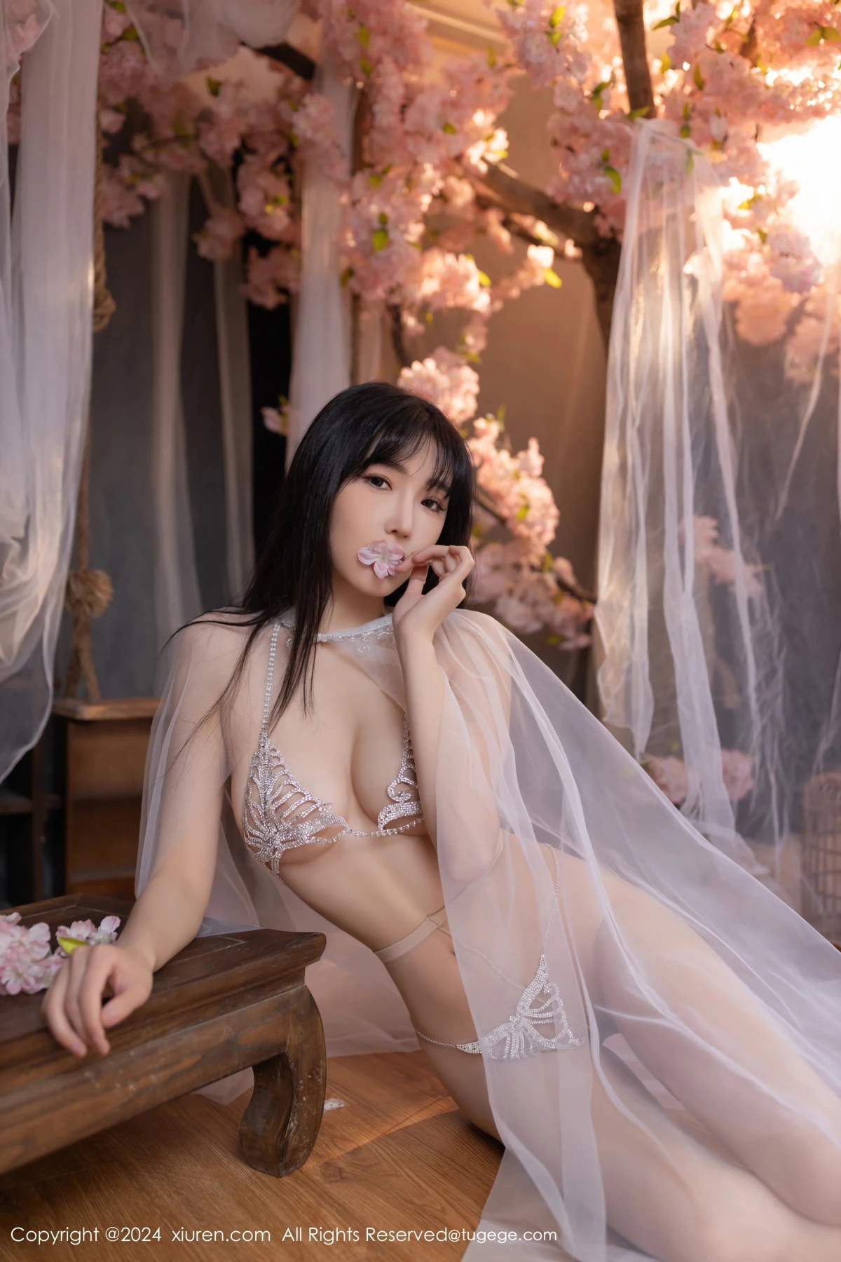 [秀人网] 2024.07.04 No.8807-009