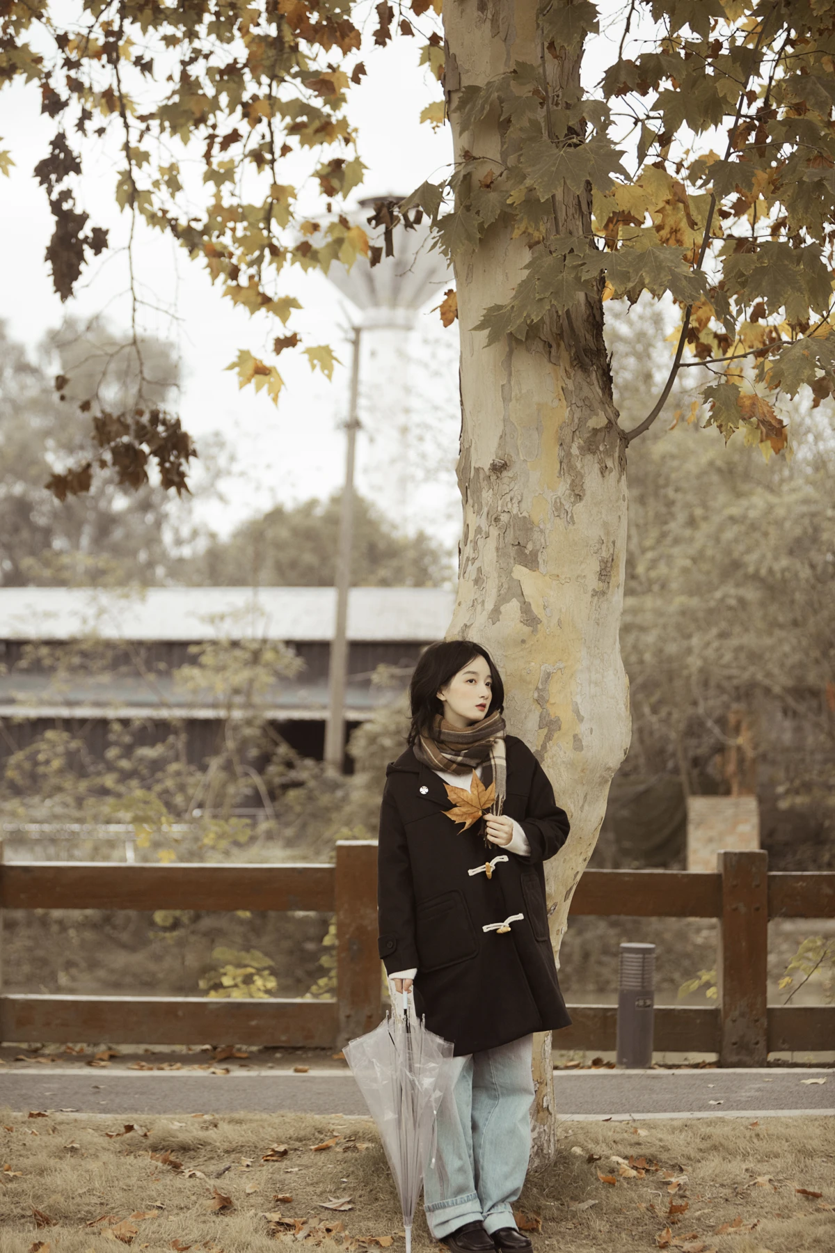 [艺图语]2023.01.16 Vol.2925 漫步梧桐林#肖绿叶#[25P]-017