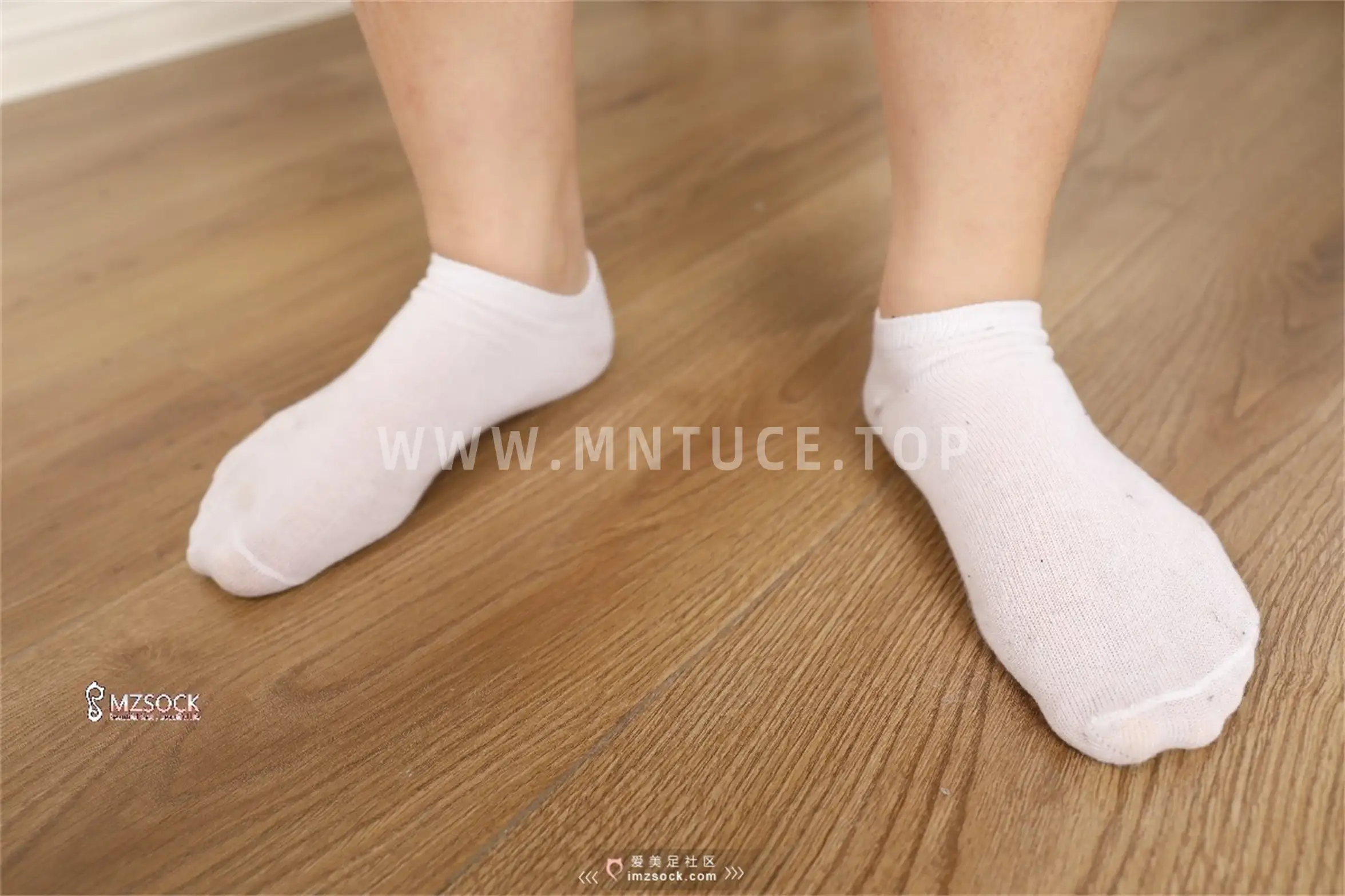 [MZSOCK]爱美足 NO.070-032