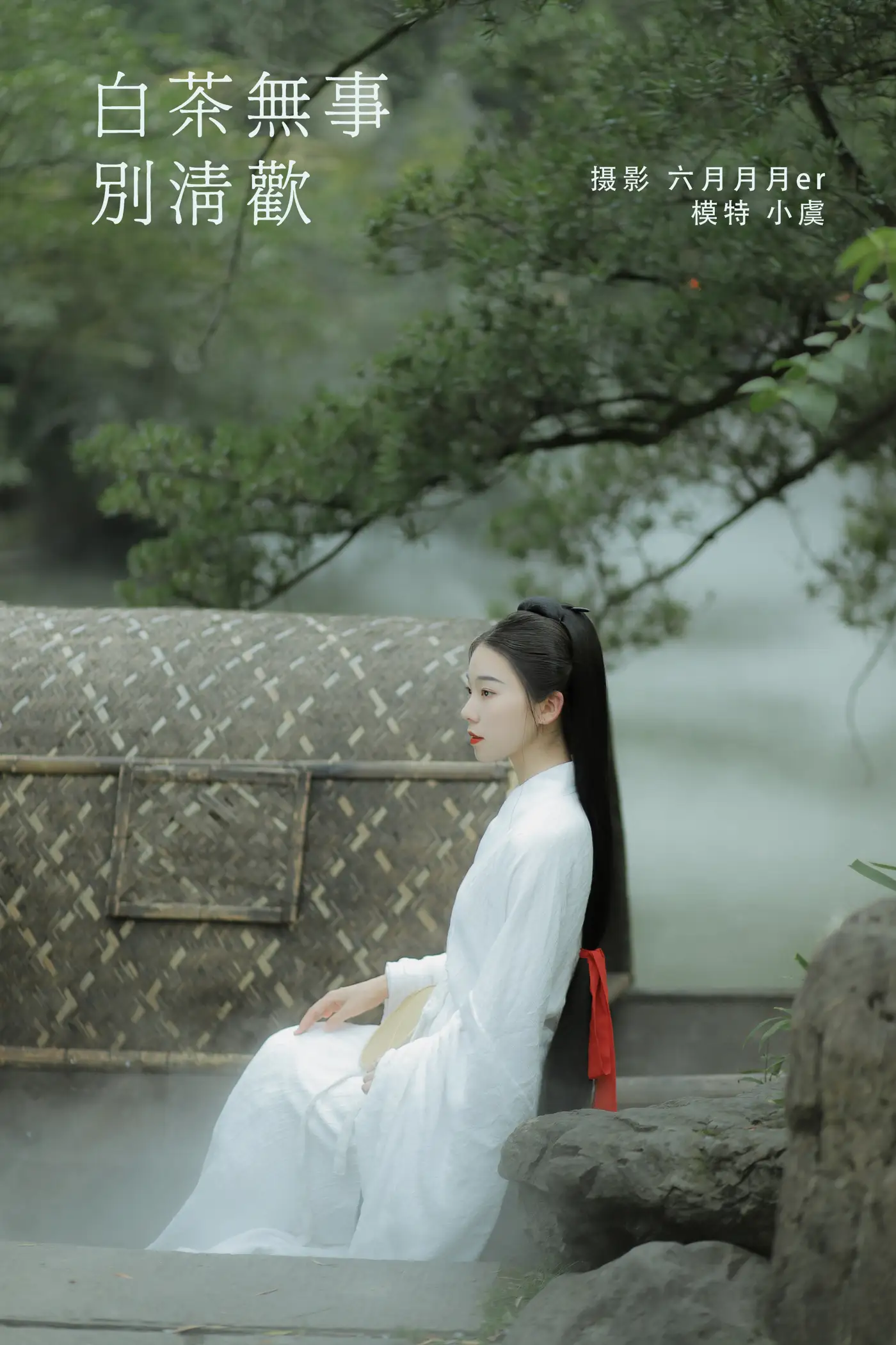 [艺图语] 2022.02.03 Vol.742 – 白茶无事别清欢 一方伊人yi[25P]-PicJJ