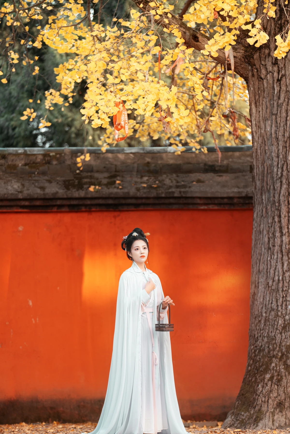 [艺图语]2023.02.03 Vol.2957 等闲日#陌颜#[29P]-030