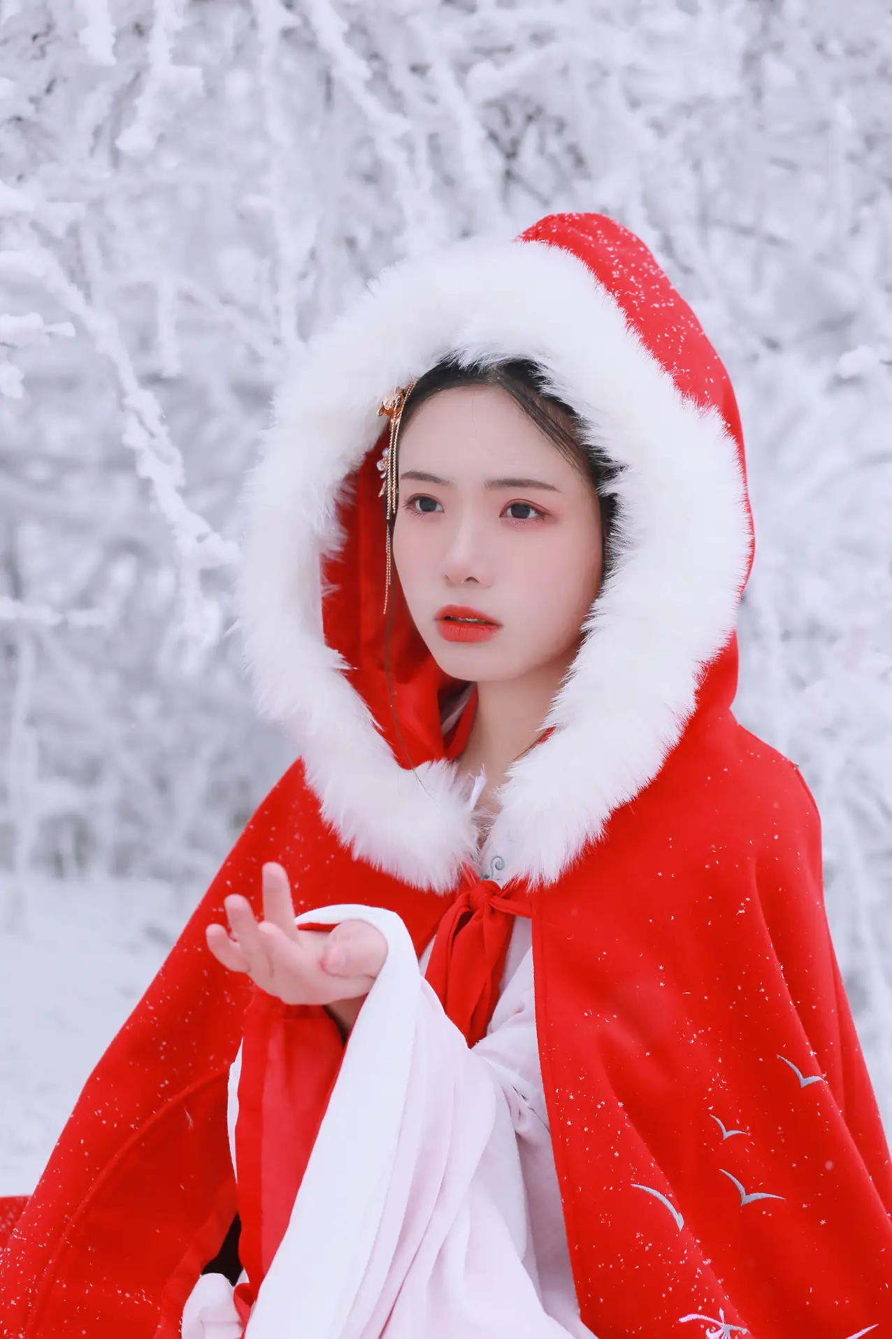 [艺图语] 2021.12.25 Vol.531-034