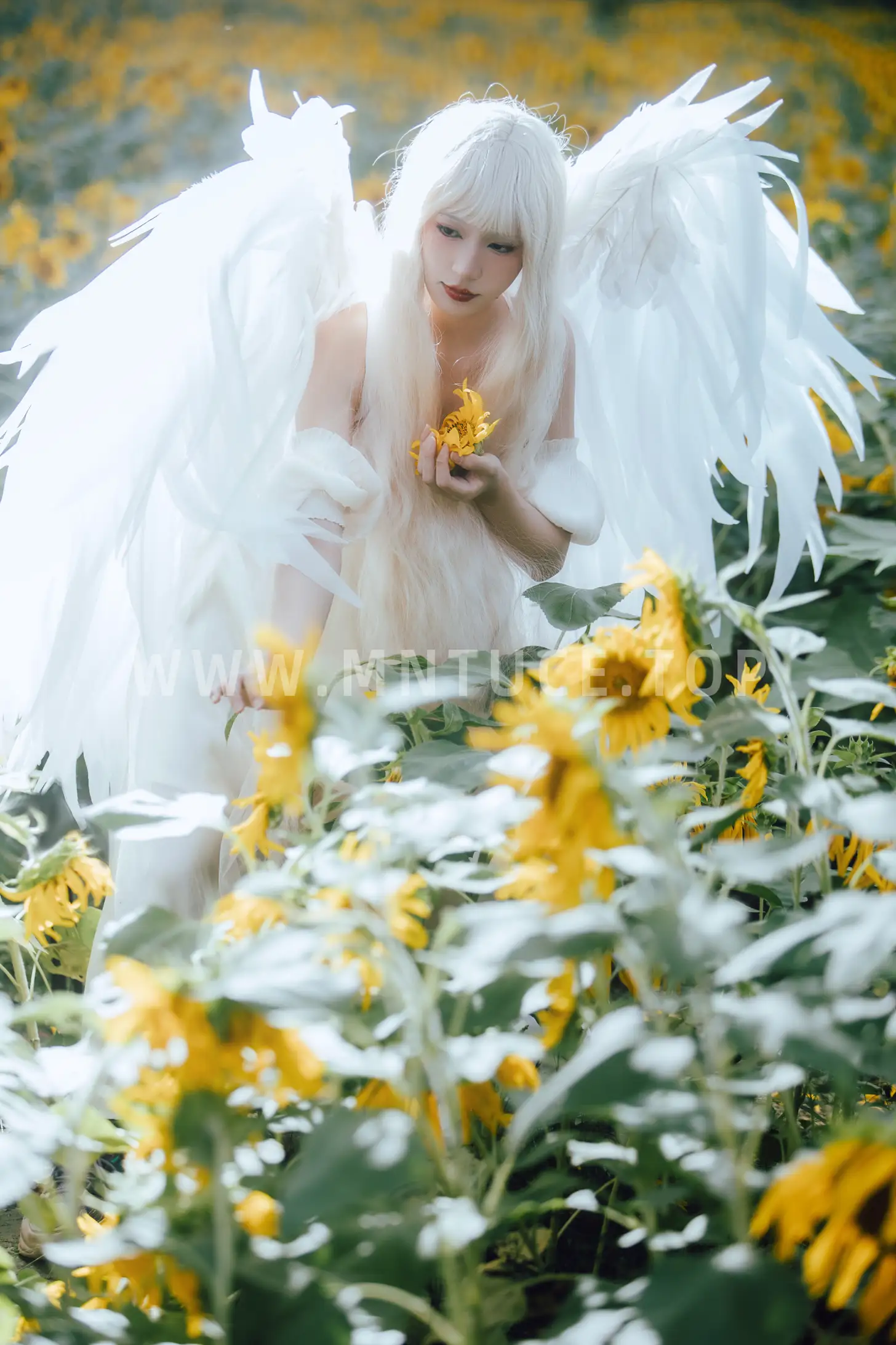 [艺图语] 2022.11.15 Vol.2081-014
