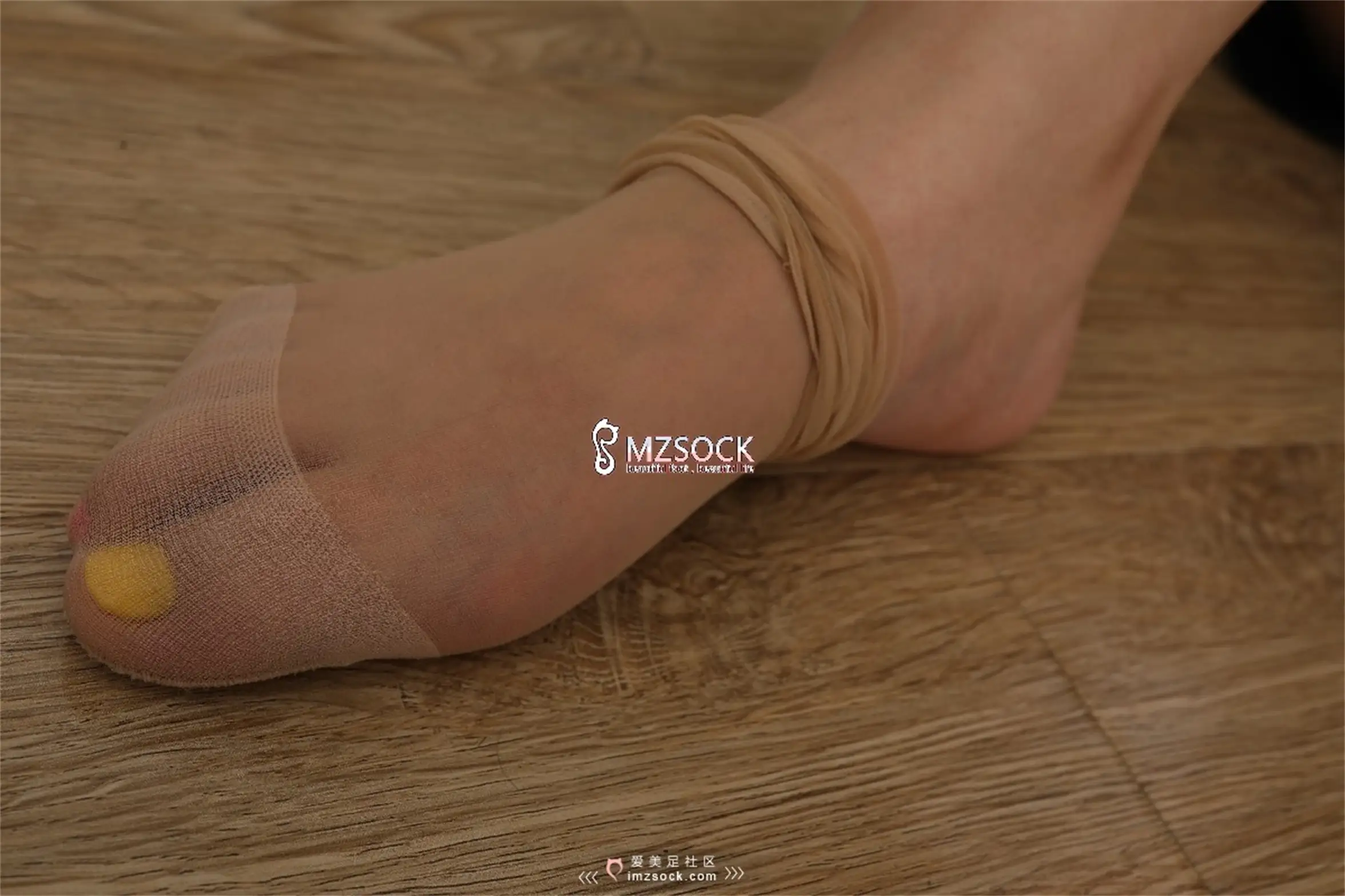 [MZSOCK]爱美足 NO.043-024