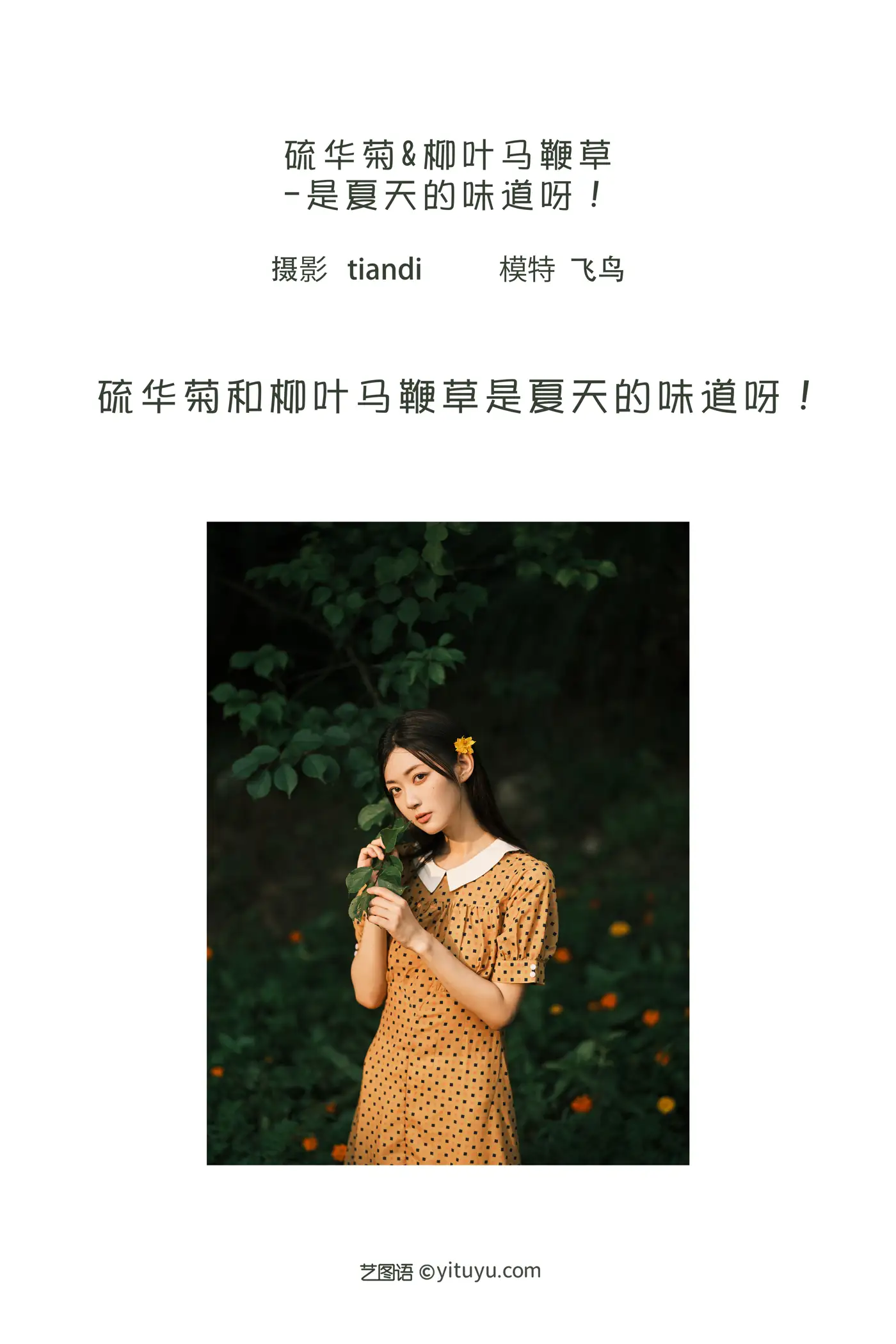 [艺图语] 2022.08.08 Vol.1654-002