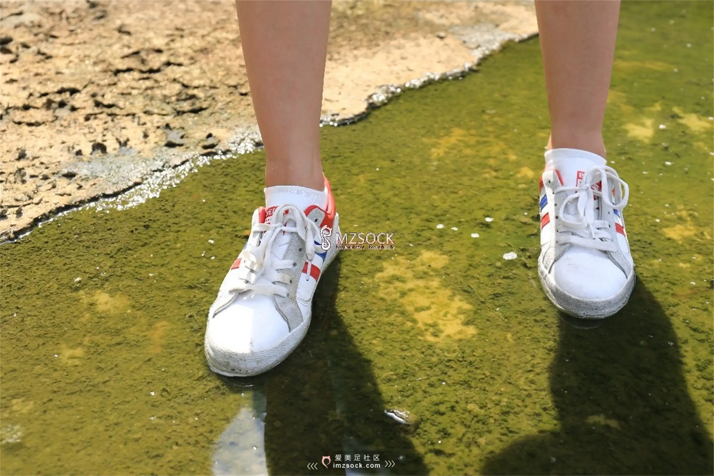 [MZSOCK]爱美足 NO.049-019