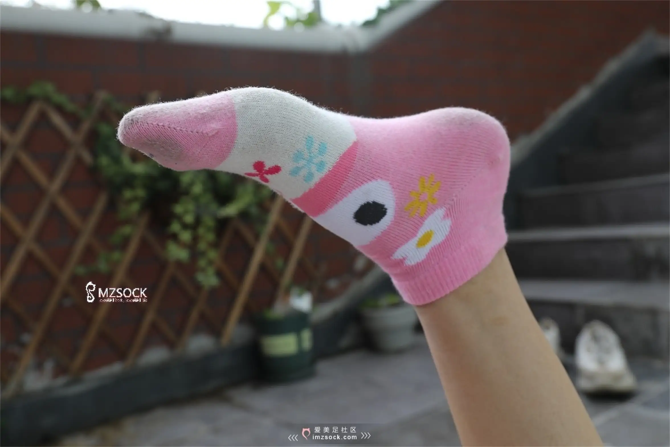 [MZSOCK]爱美足 NO.071-025
