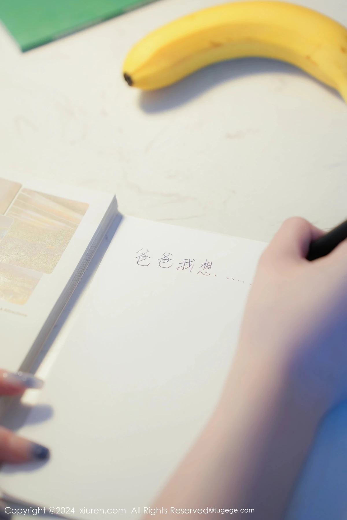 [秀人网] 2024.07.04 No.8803-003