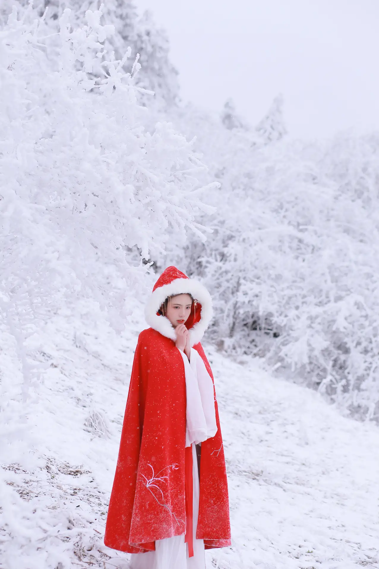 [艺图语] 2021.12.25 Vol.531-022