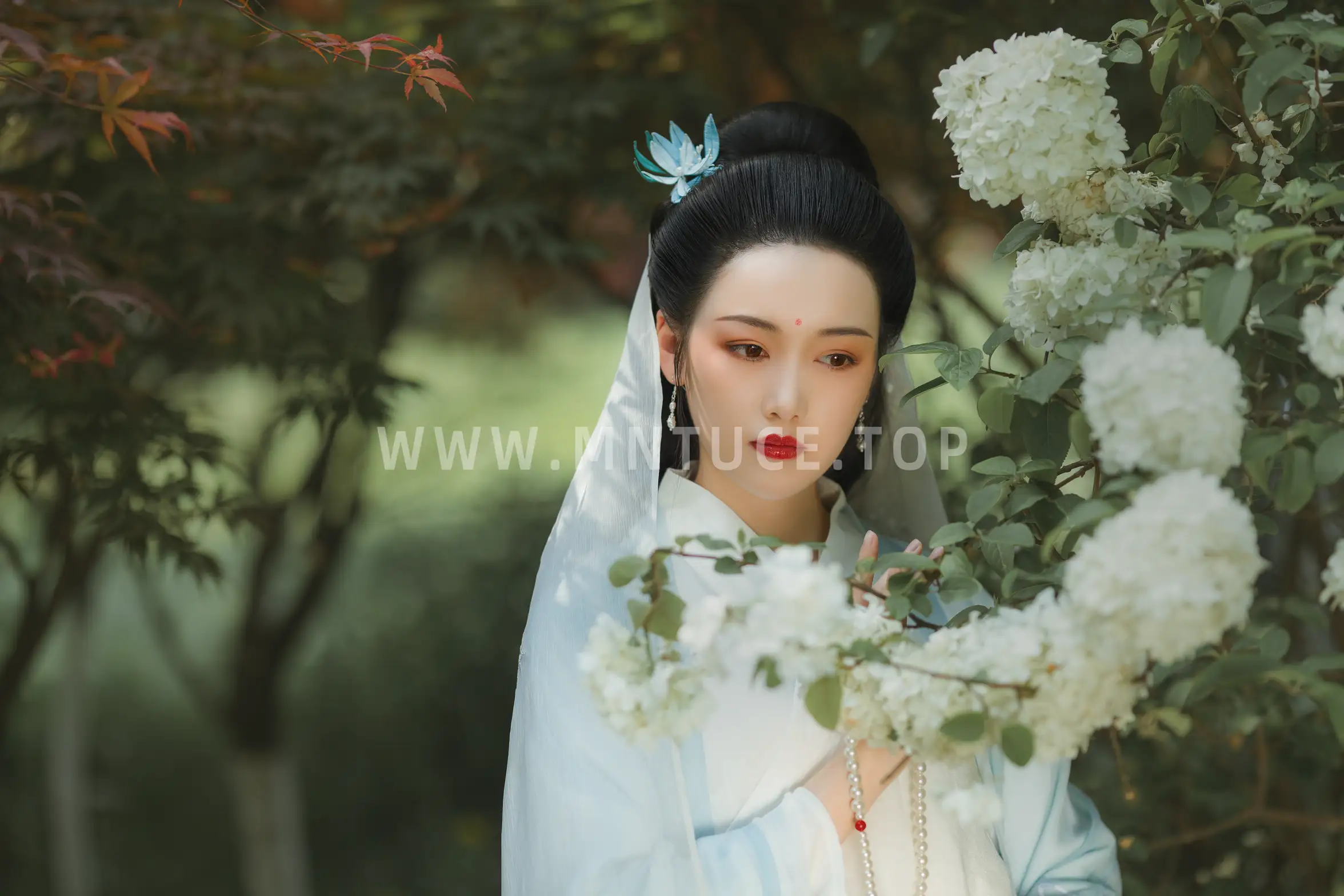 [艺图语] 2021.08.17 Vol.140-018