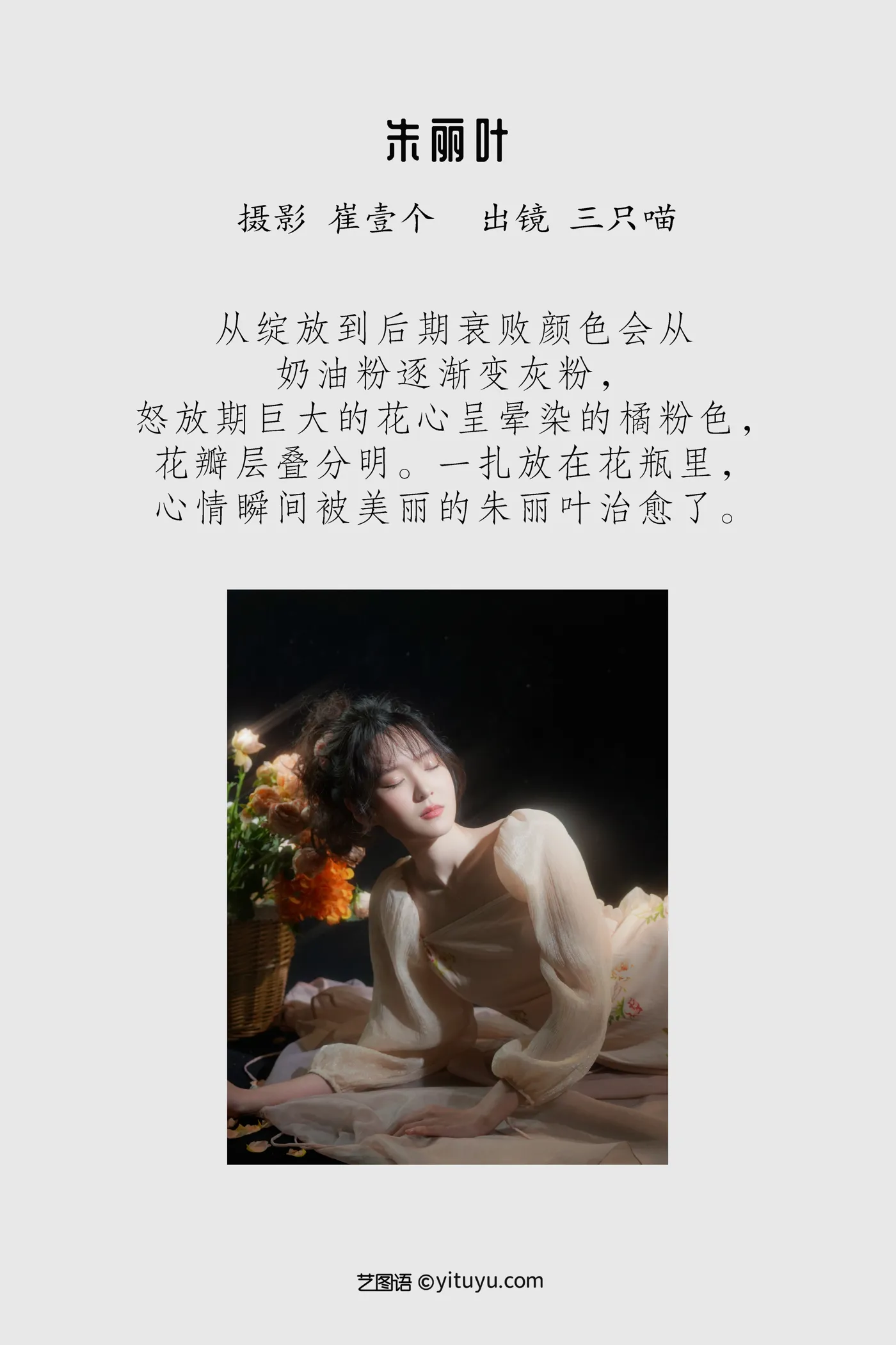 [艺图语]2022.12.06-002