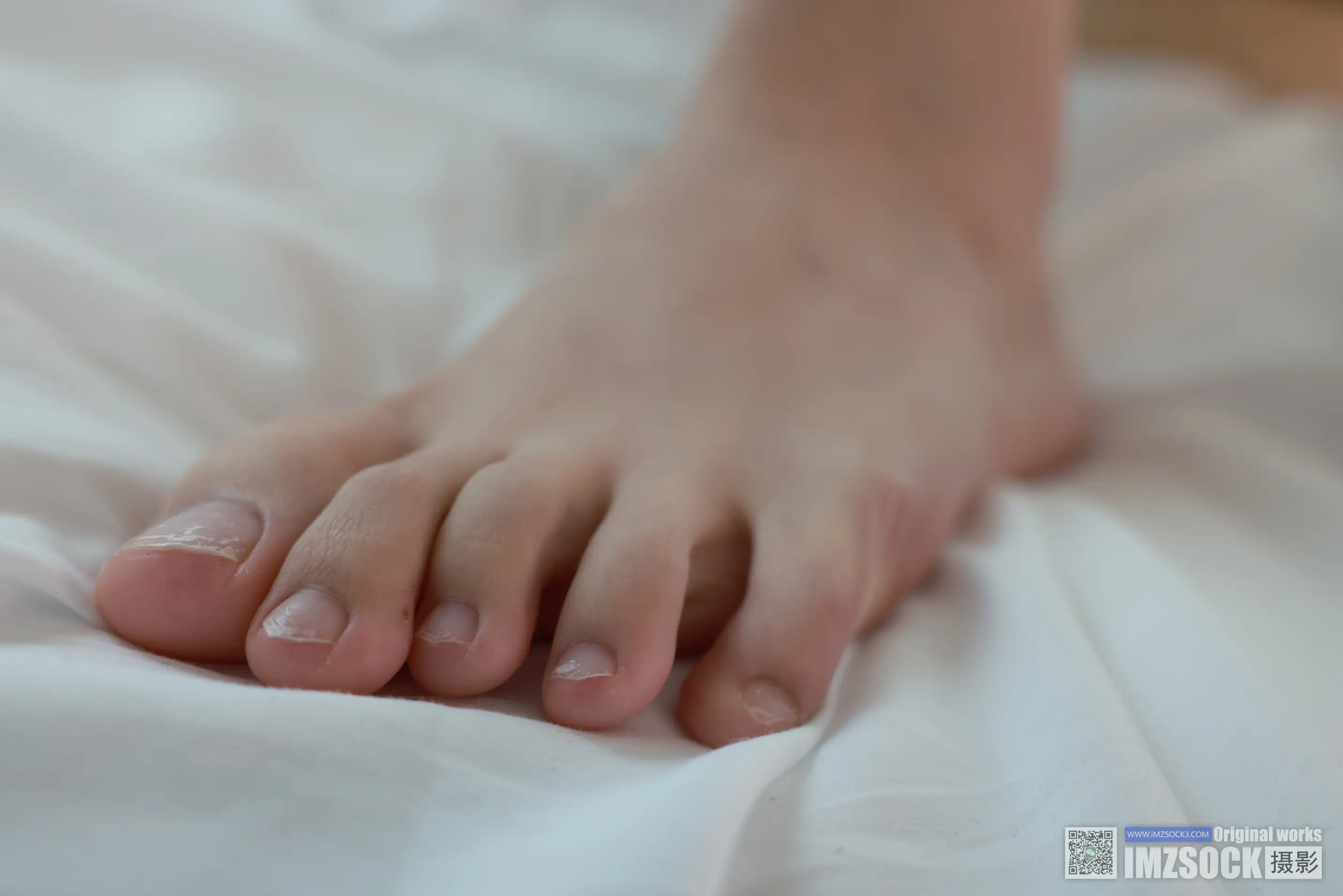 [MZSOCK]爱美足 NO.242-073