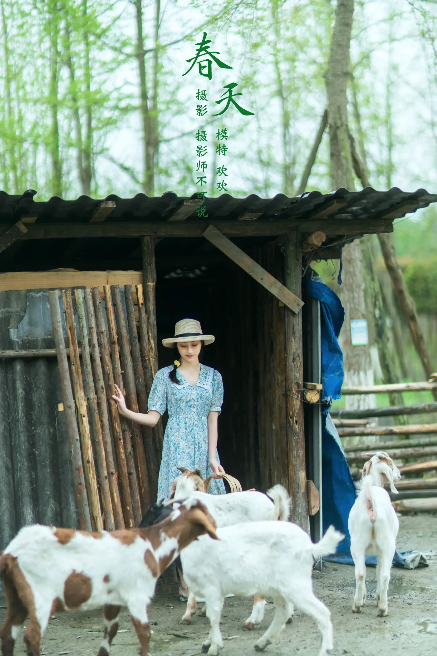 [艺图语] 2021.12.21 Vol.507 – 春天 欢欢[32P]-PicJJ