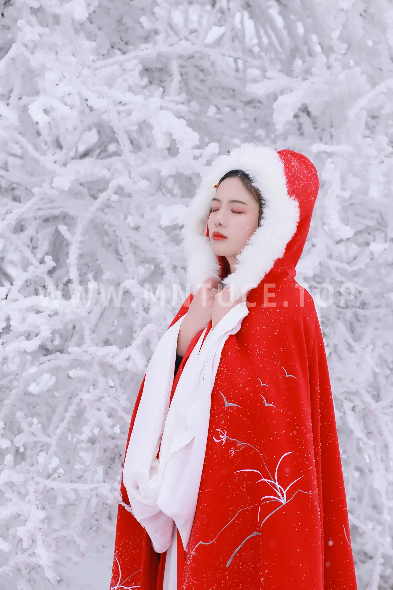 [艺图语] 2021.12.25 Vol.531-019