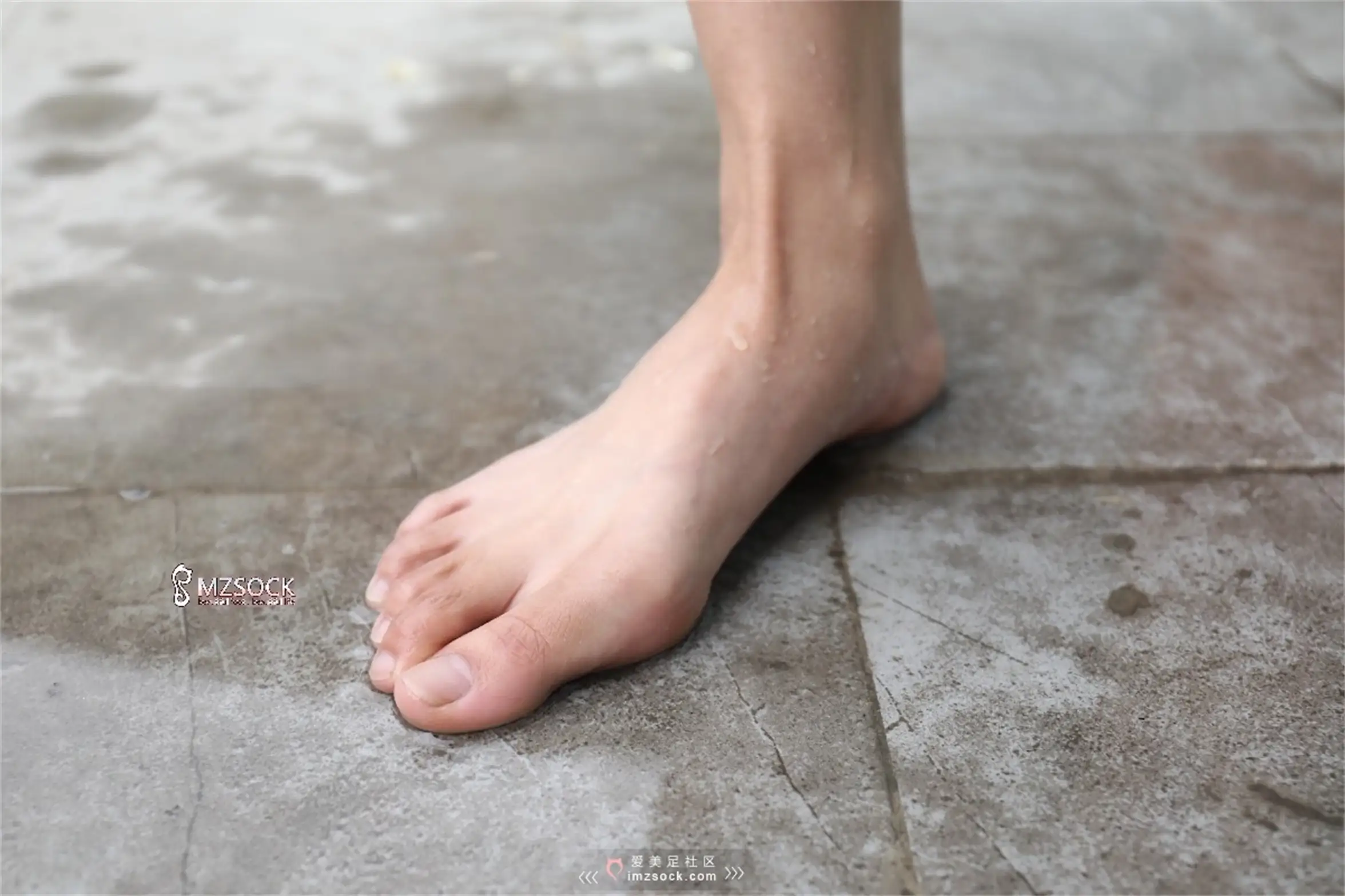 [MZSOCK]爱美足 NO.071-044