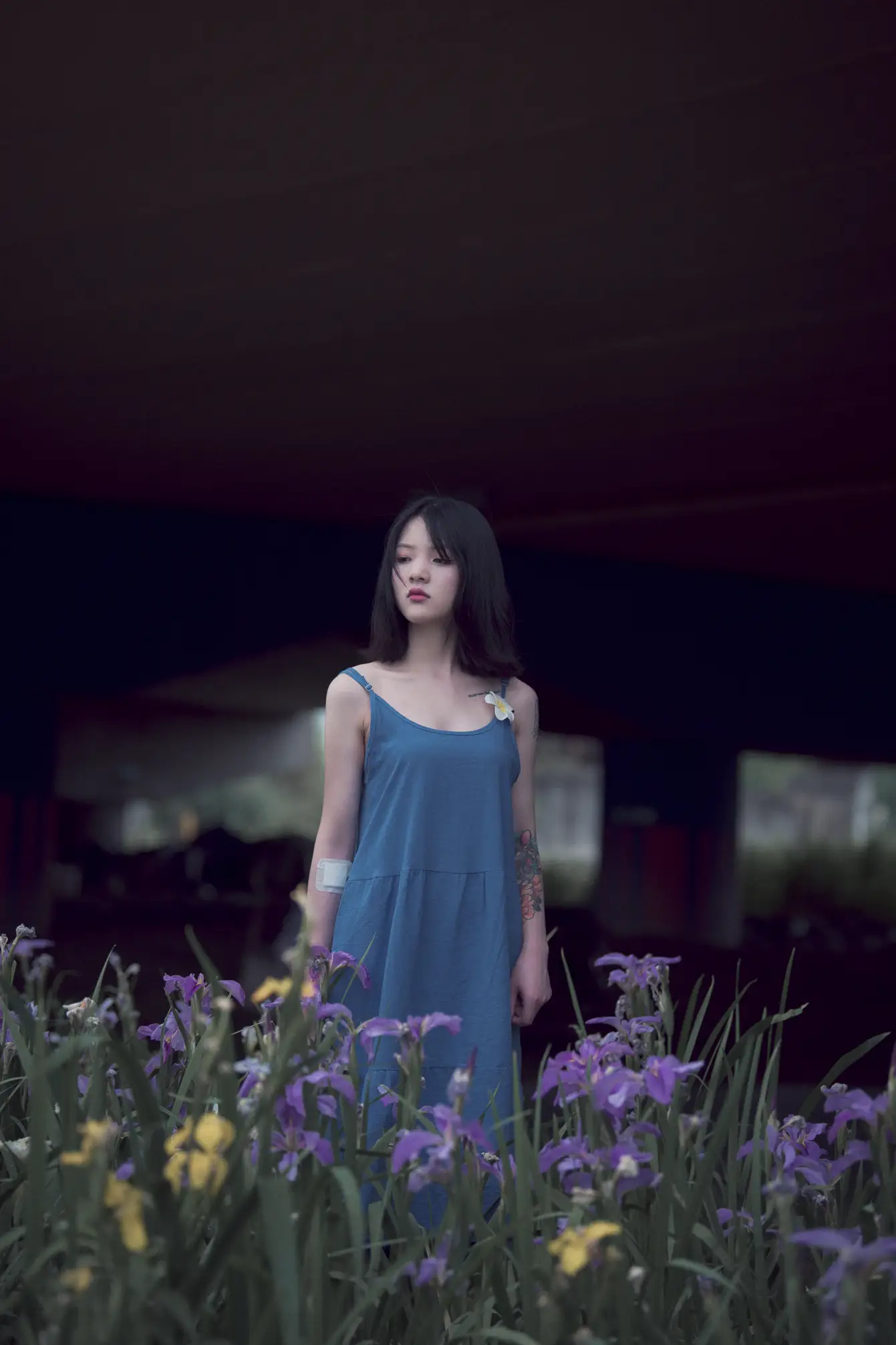 [艺图语] 2022.11.22 Vol.2497-010