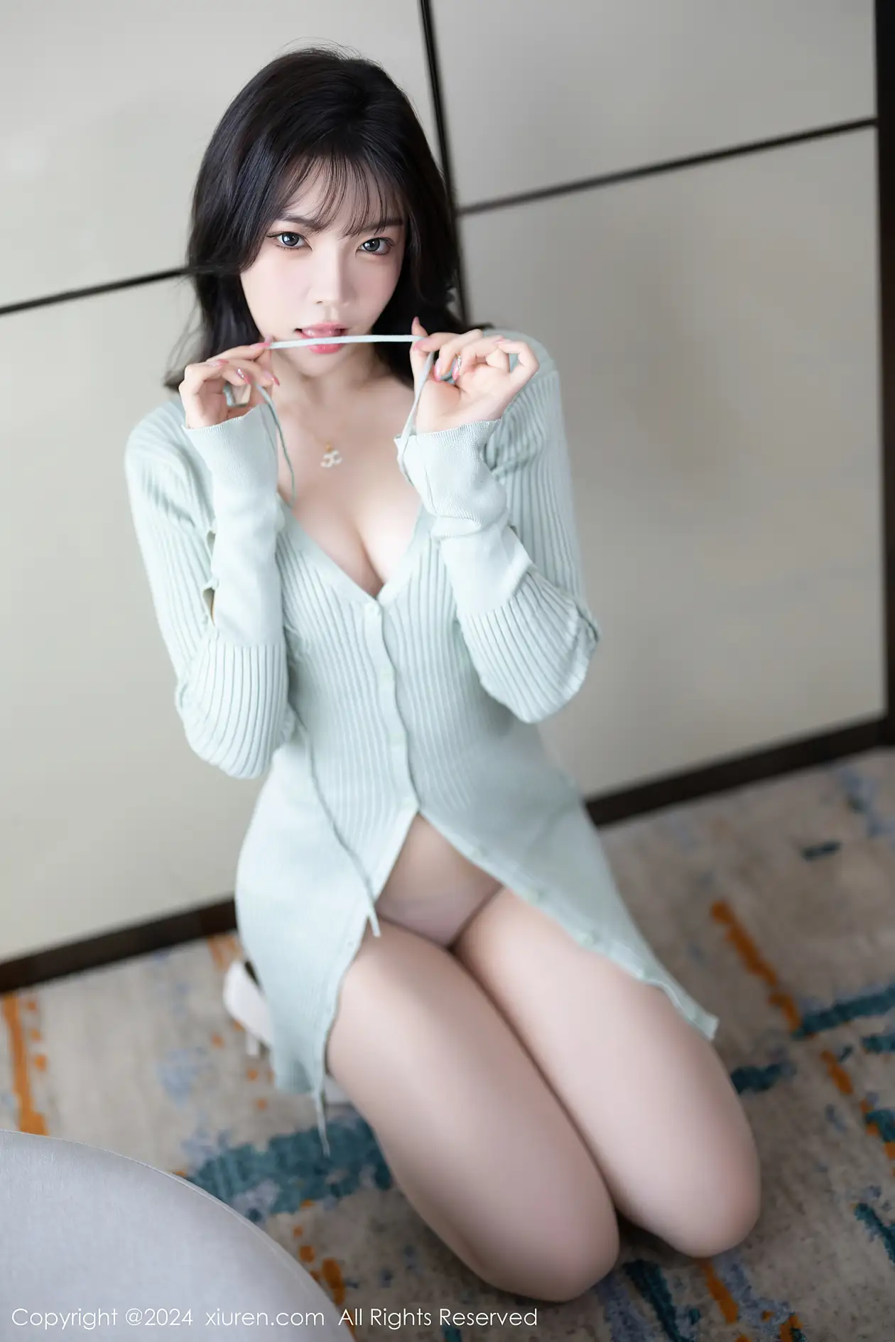 [秀人网] 2024.01.26 NO.8028-023
