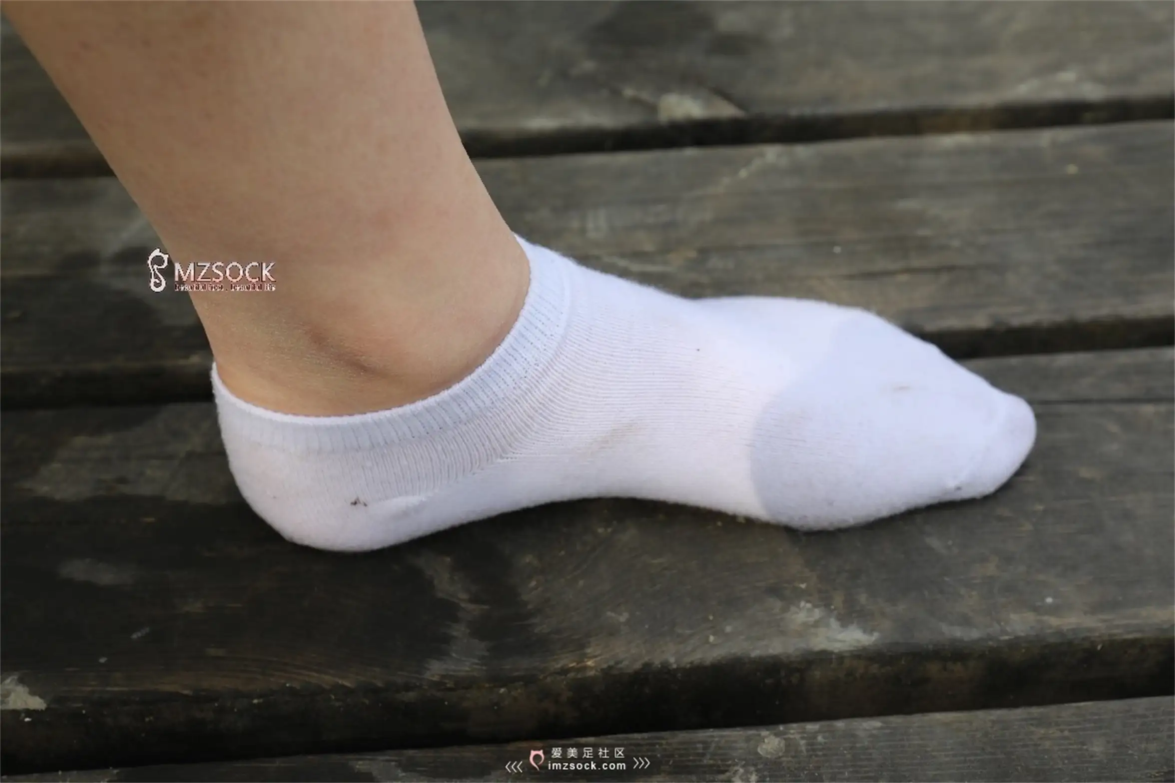 [MZSOCK]爱美足 NO.069-048