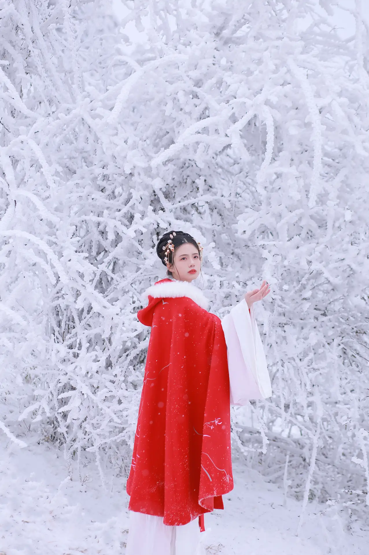[艺图语] 2021.12.25 Vol.531-025