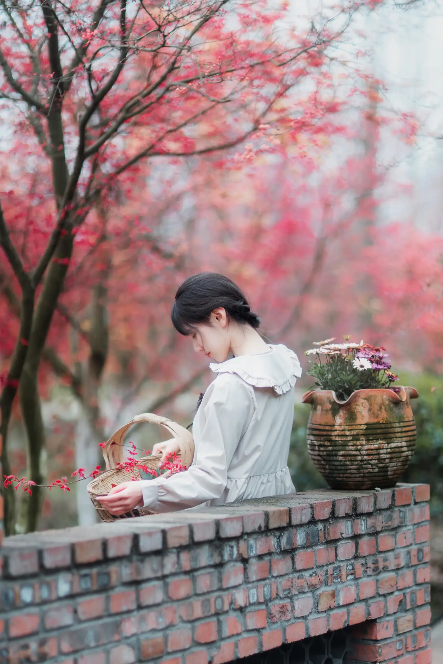 [艺图语] 2021.12.23 Vol.521-037