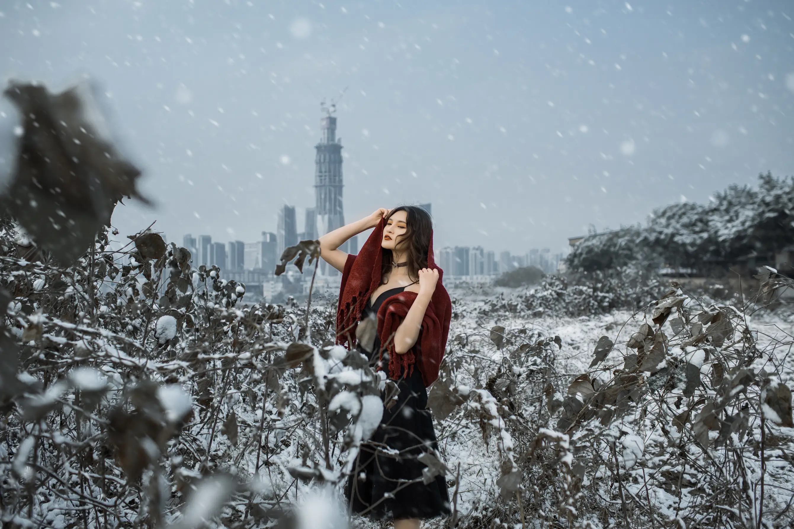 [艺图语] 2021.12.29 Vol.549-018
