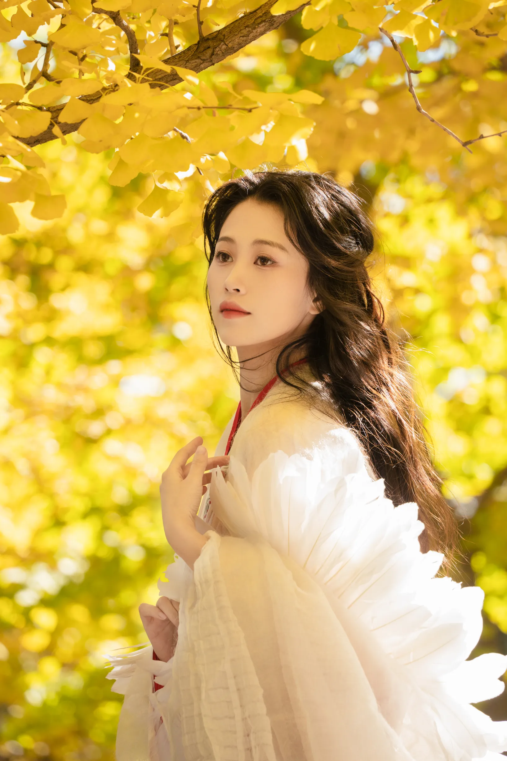 [艺图语]2022.11.30 Vol.2568-018